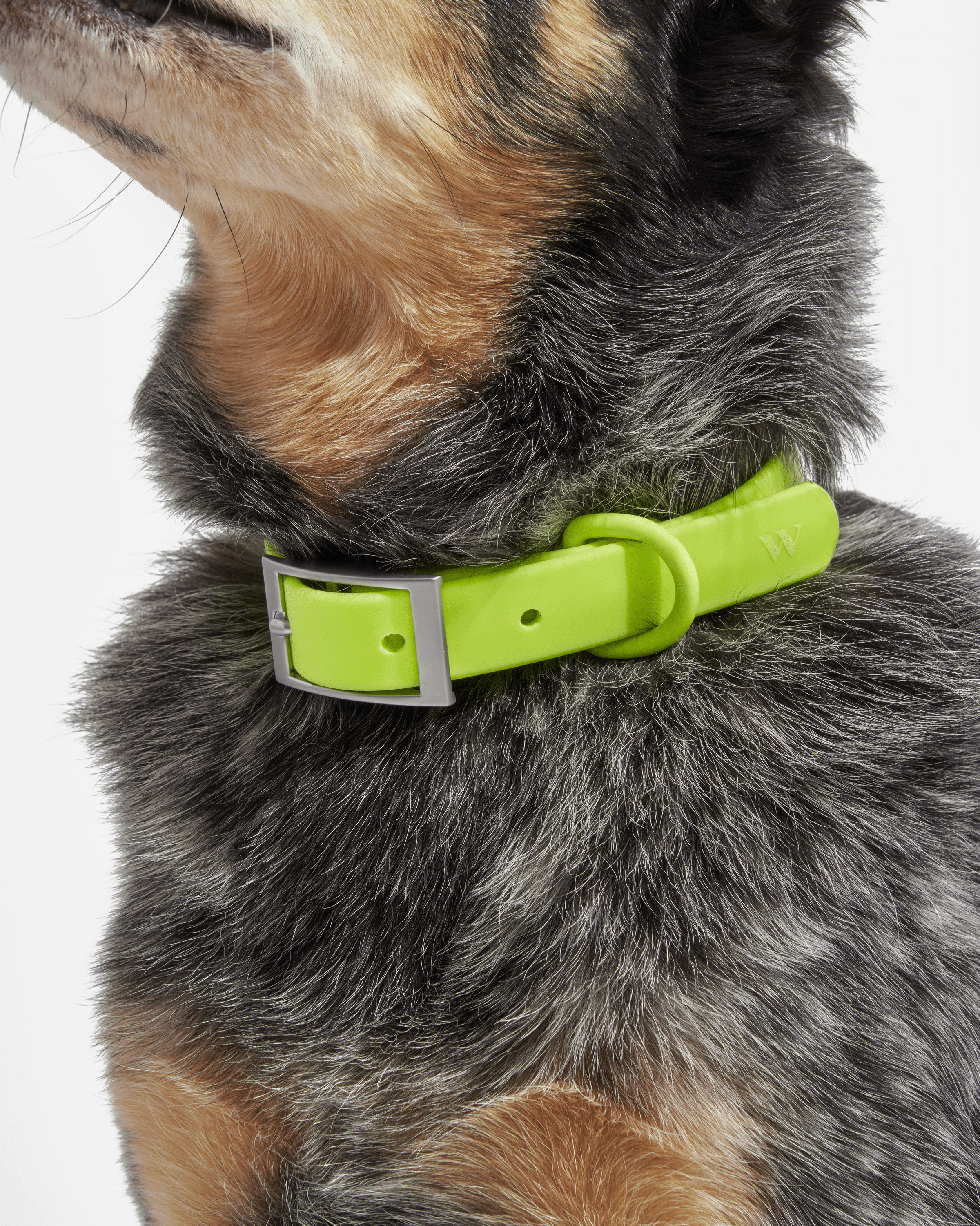 Waterproof Collar
