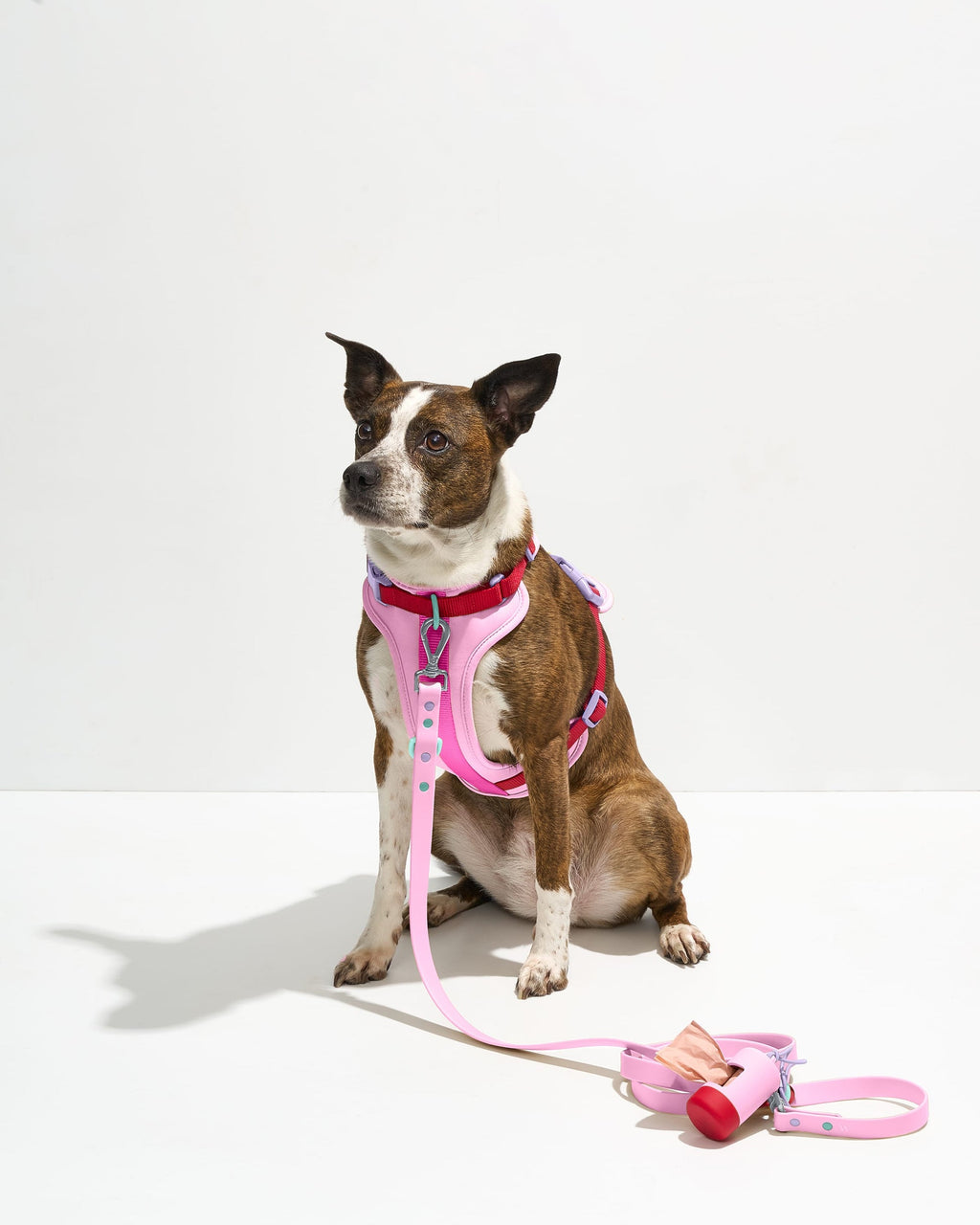 Cushioned Harness + Waterproof Leash Walk Kit