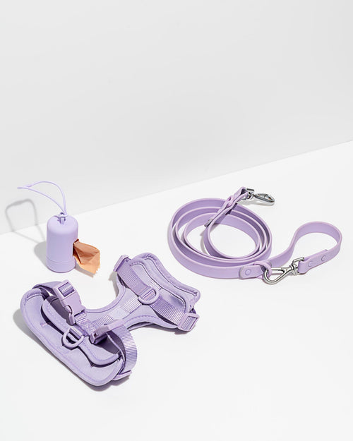 Cushioned Harness + Waterproof Leash Walk Kit