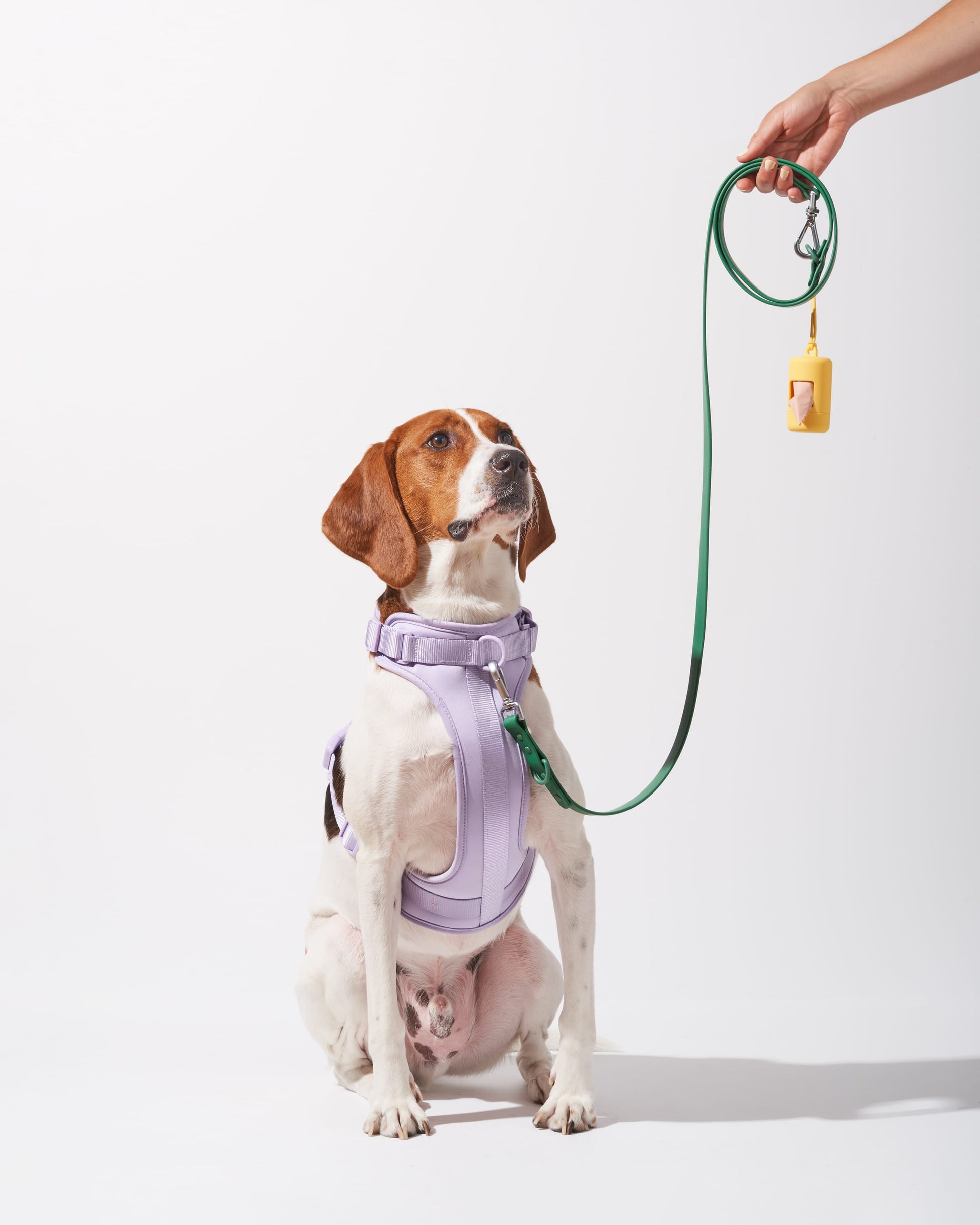 Cushioned Harness + Waterproof Leash Walk Kit