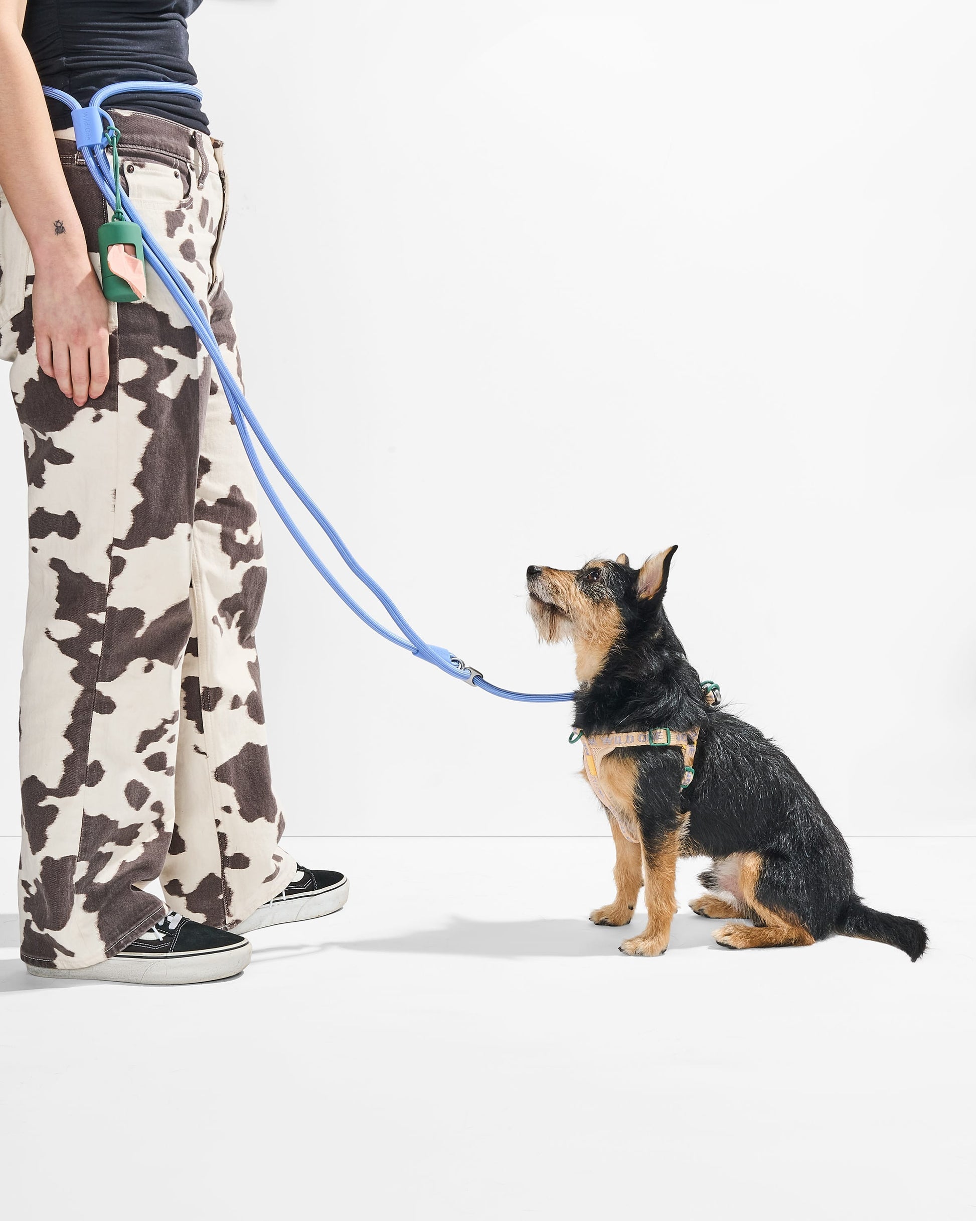Step-In Harness + Hands-Free Rope Leash Walk Kit