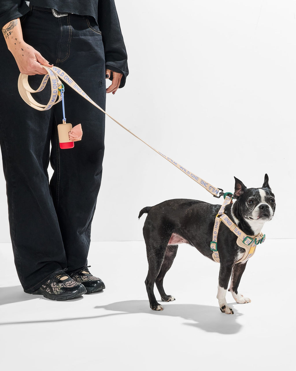 Step-In Harness + Waterproof Leash Walk Kit