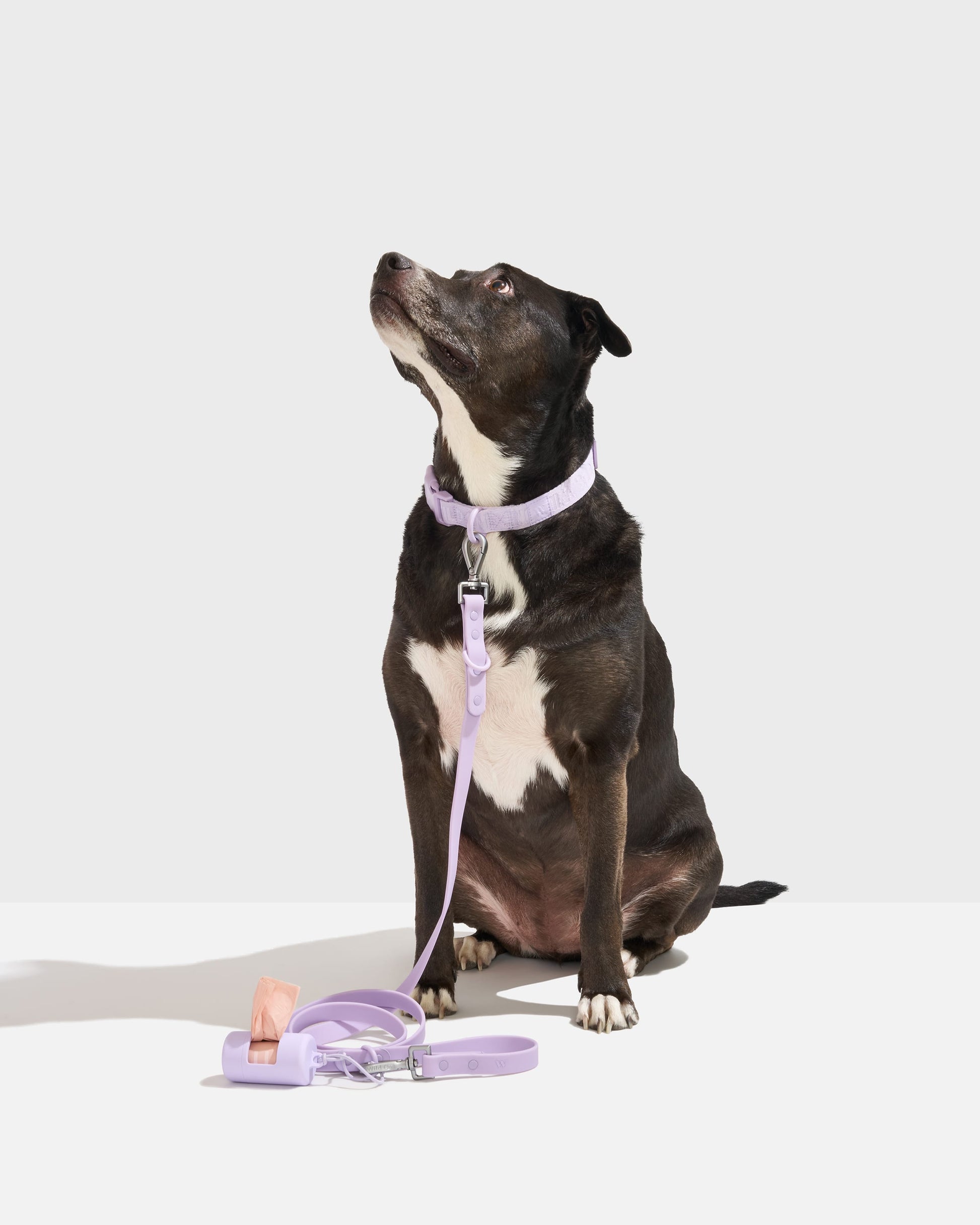 Quick-Release Collar + Waterproof Leash Walk Kit