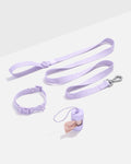 Quick-Release Collar + Lightweight Leash Walk Kit