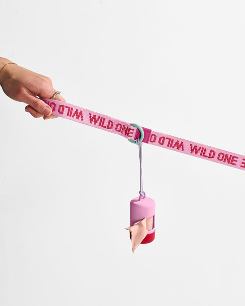 Quick-Release Collar + Lightweight Leash Walk Kit