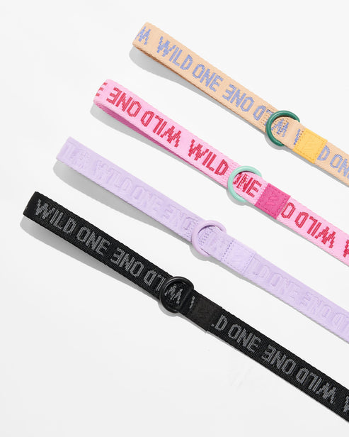 Quick-Release Collar + Lightweight Leash Walk Kit