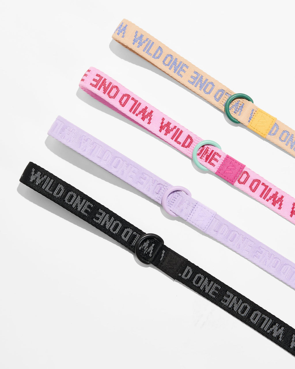 Waterproof Collar + Lightweight Leash Walk Kit