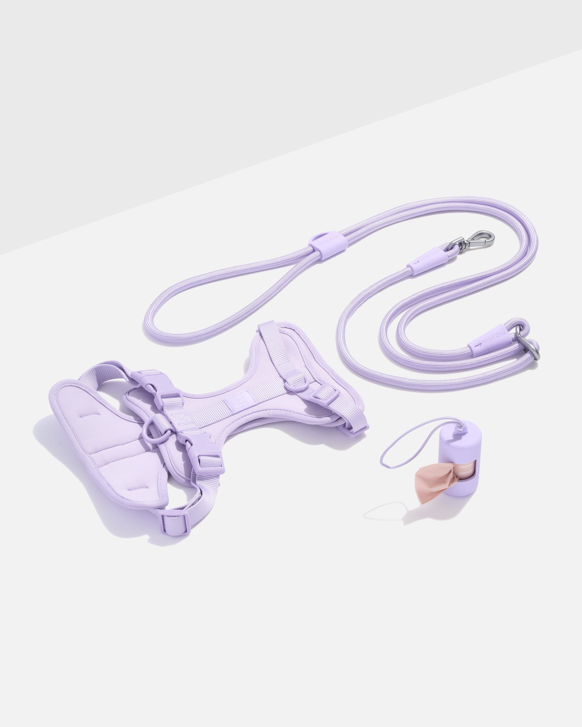 Cushioned Harness + Hands-Free Rope Leash Walk Kit