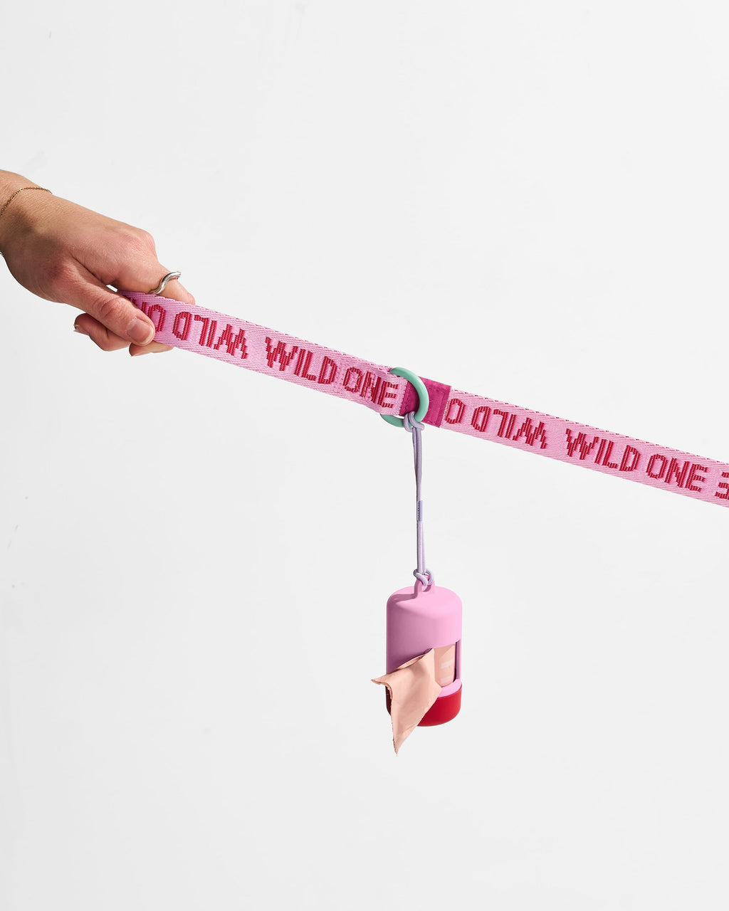 Cushioned Harness + Lightweight Leash Walk Kit