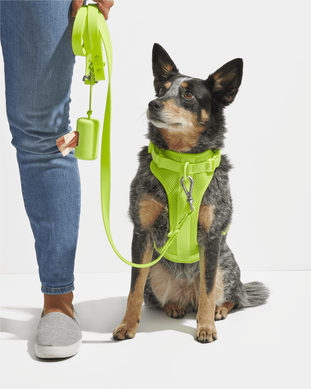 Waterproof Leash
