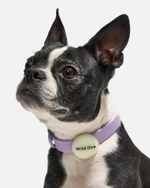 AirTag Holder 2-Pack