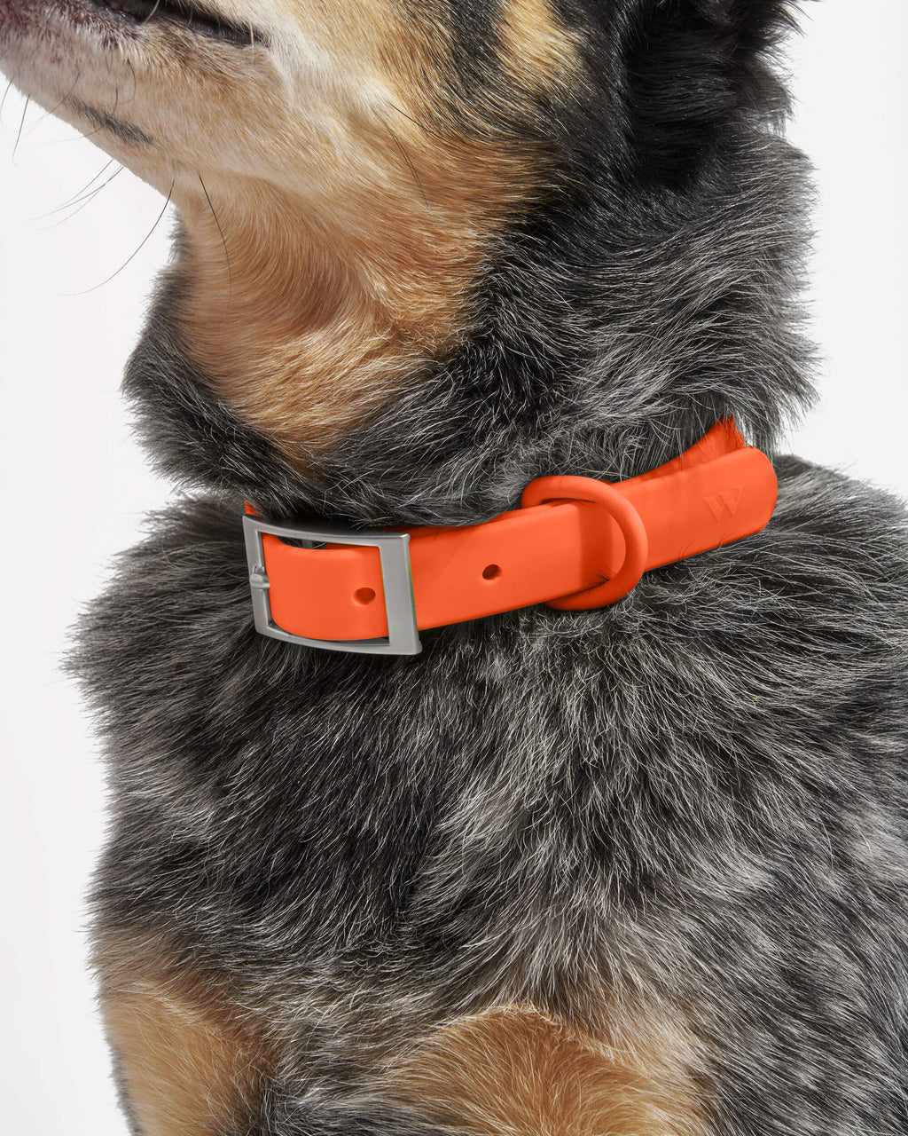 Waterproof Collar
