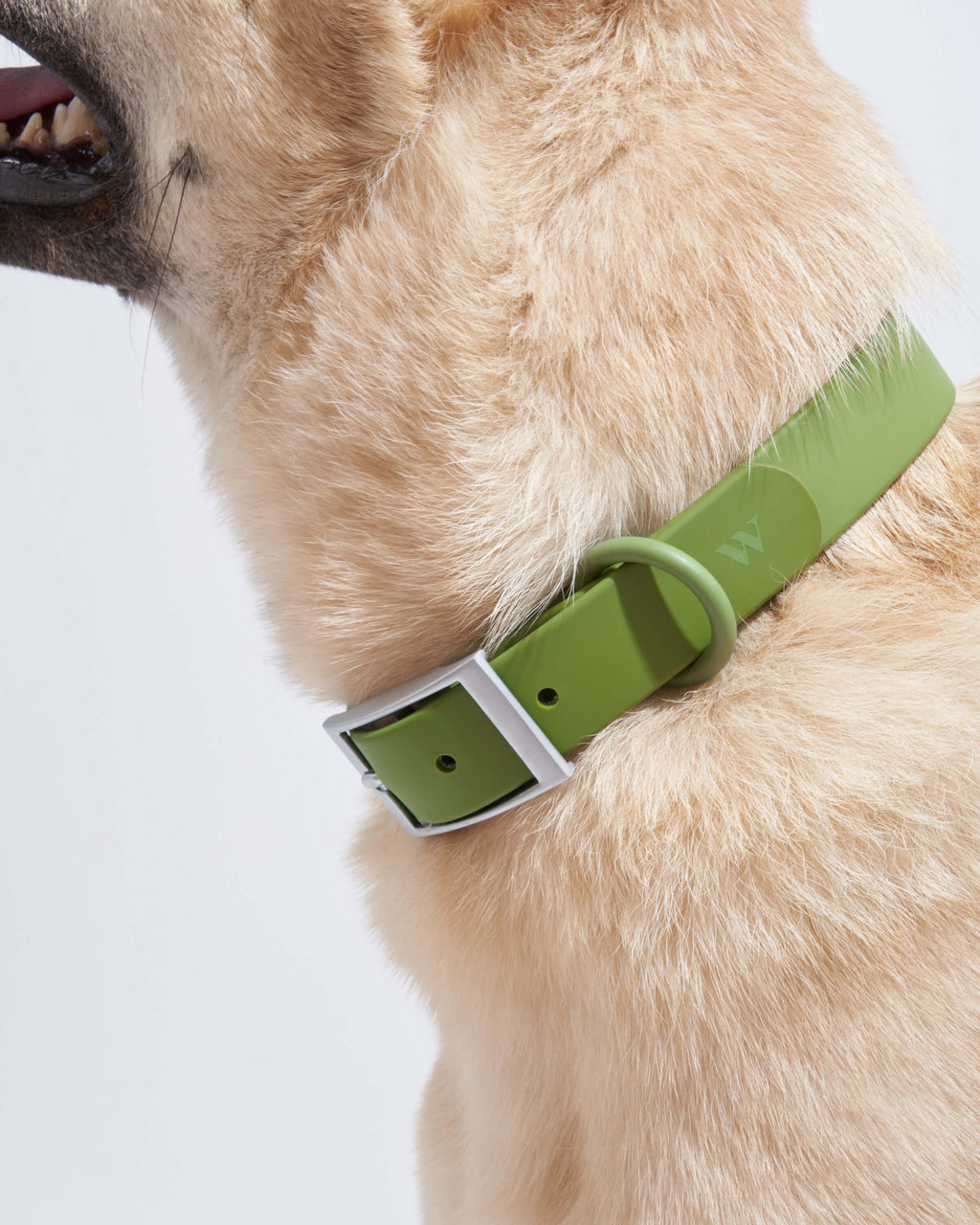 Waterproof Collar