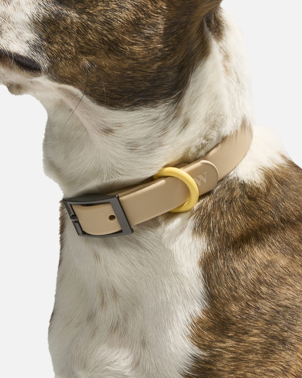 Waterproof Collar
