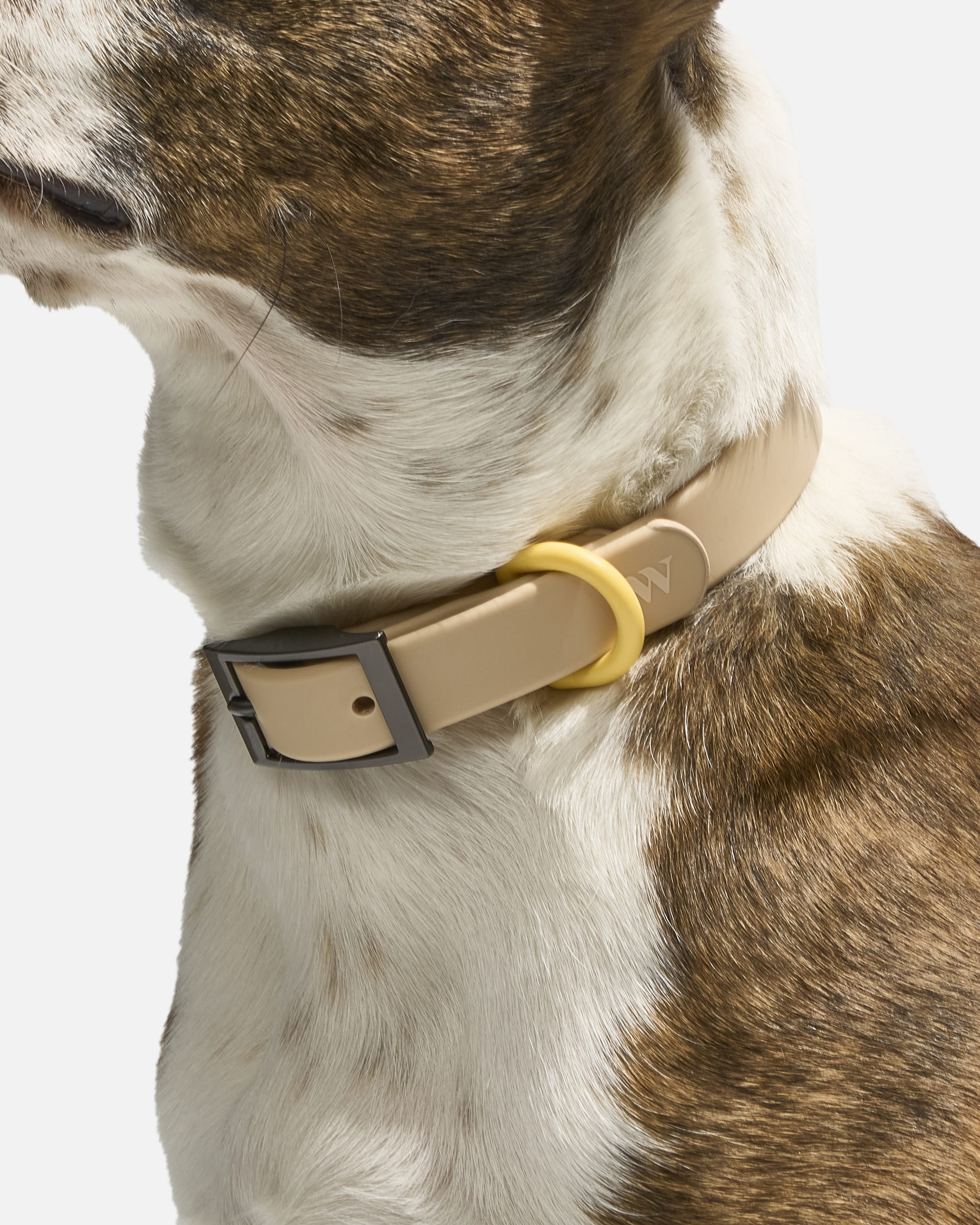 Waterproof Collar