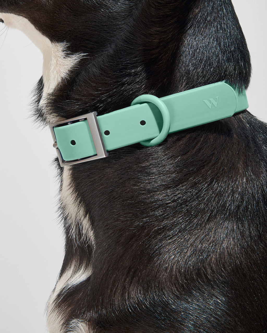 Waterproof Collar
