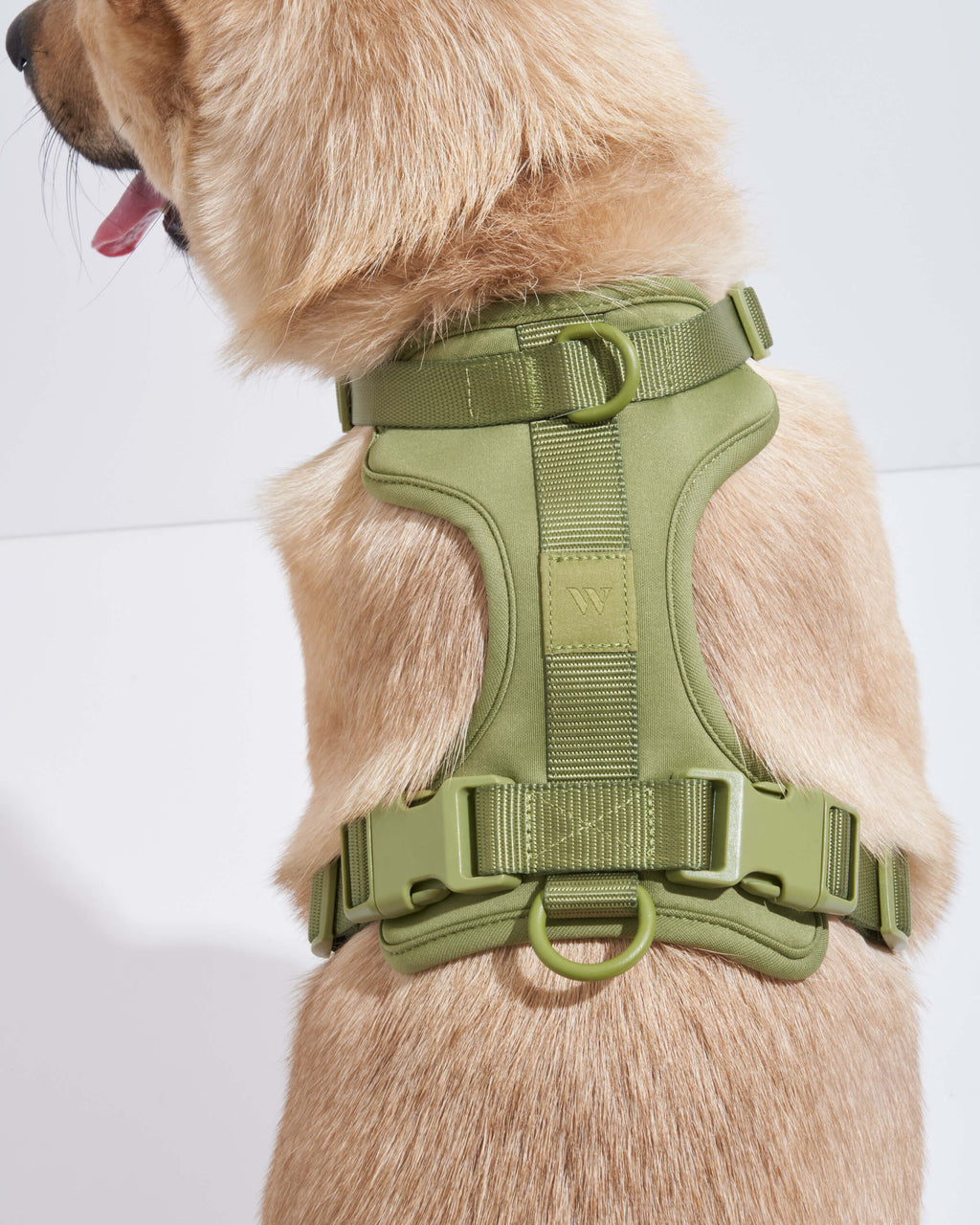 Cushioned Harness