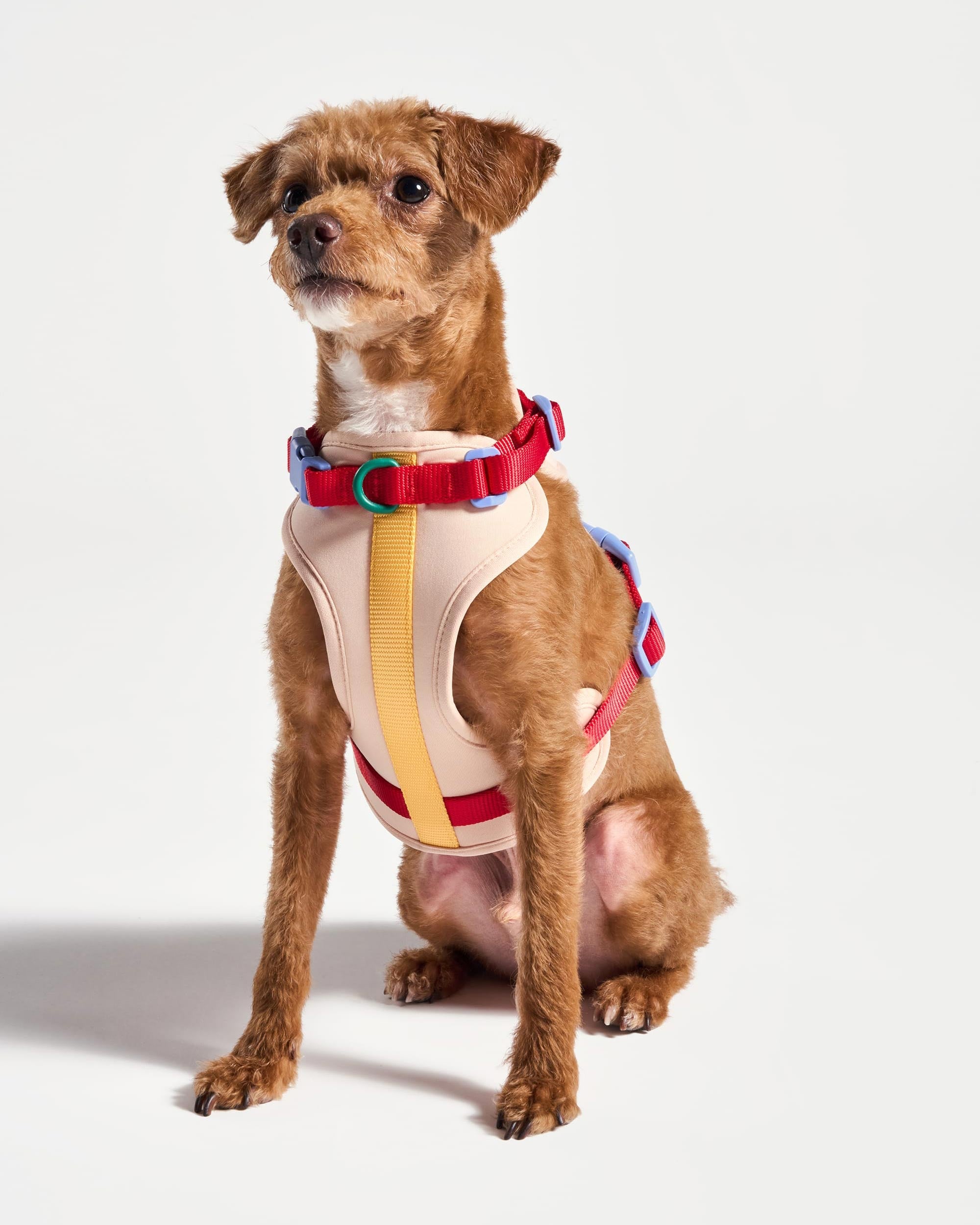 Cushioned Harness