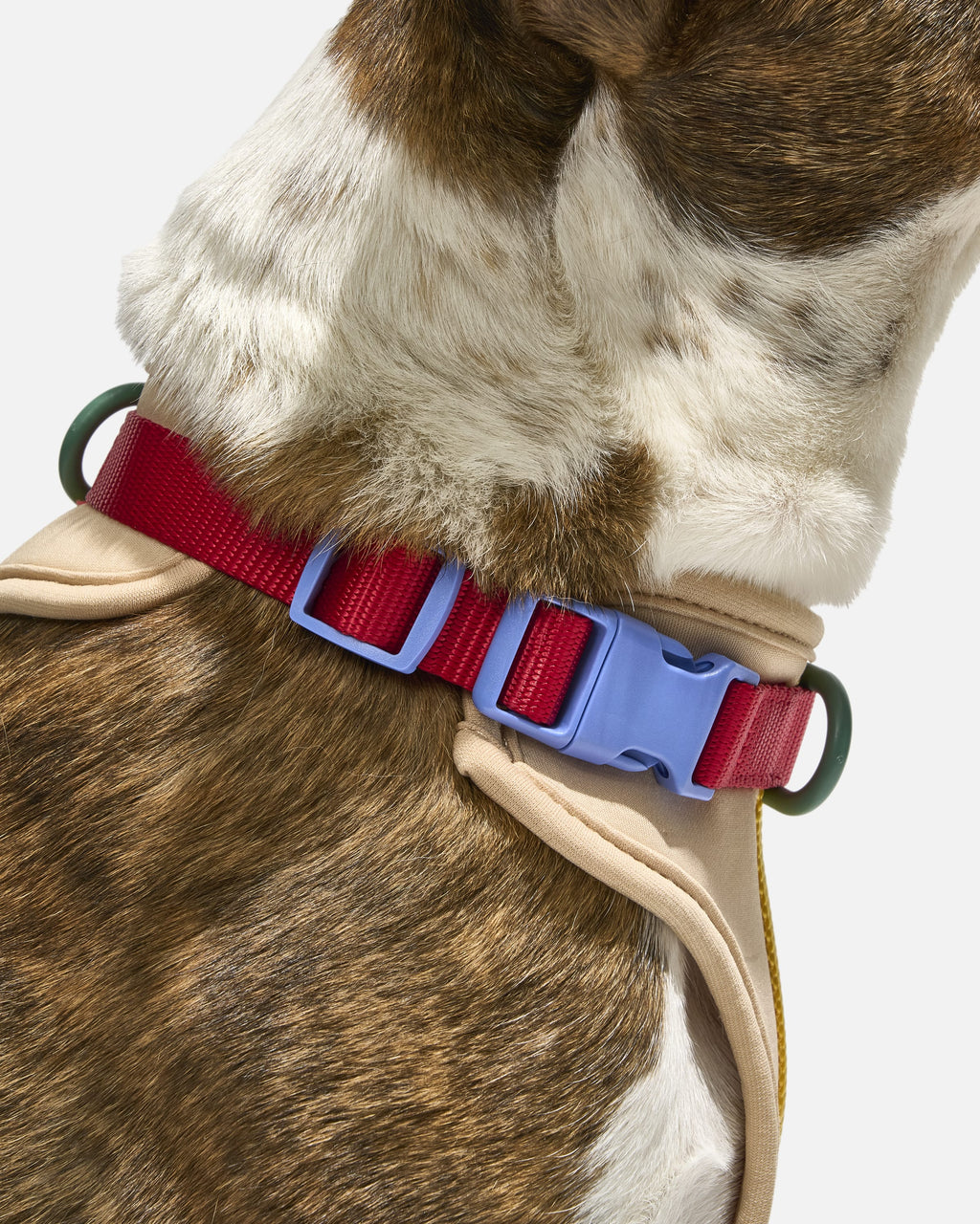 Cushioned Harness