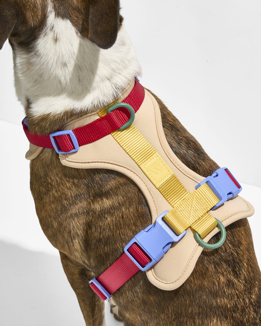 Cushioned Harness