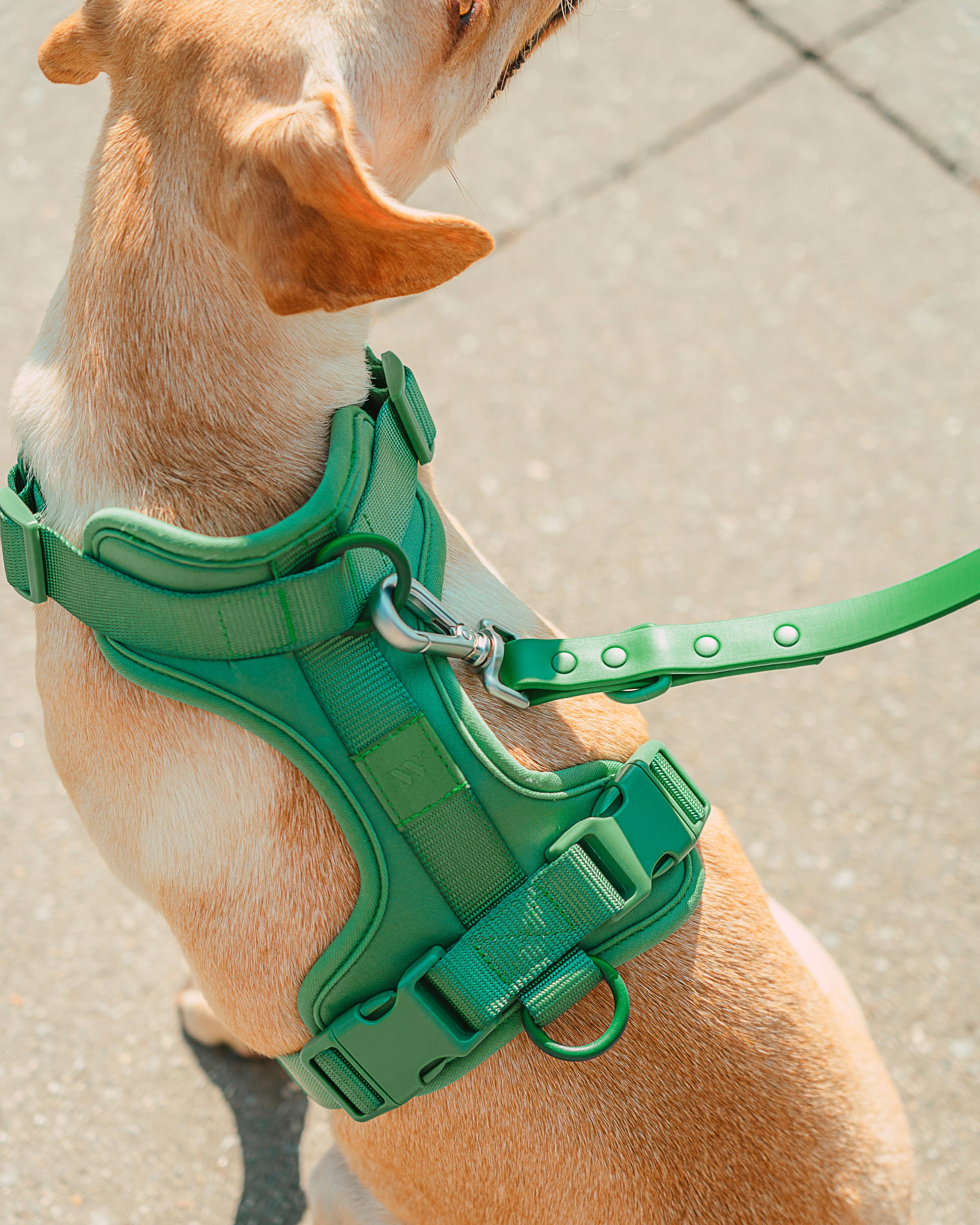Cushioned Harness