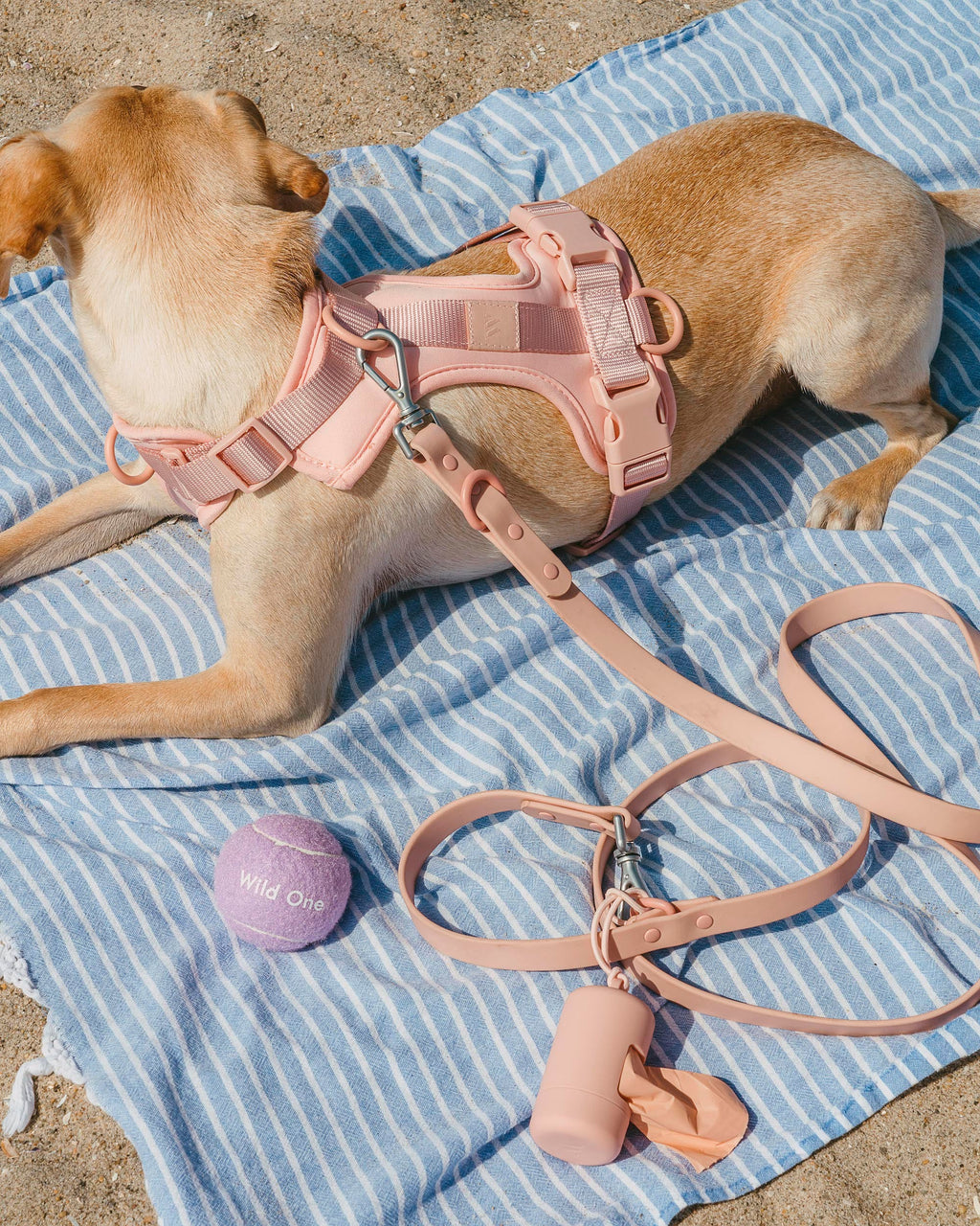 Cushioned Harness