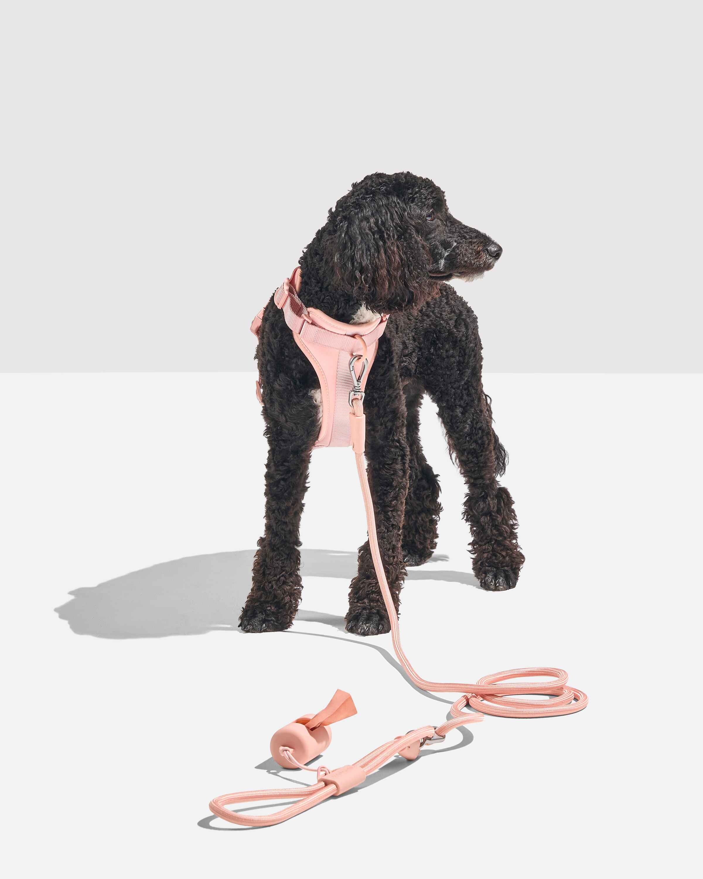 Hands-Free Rope Leash