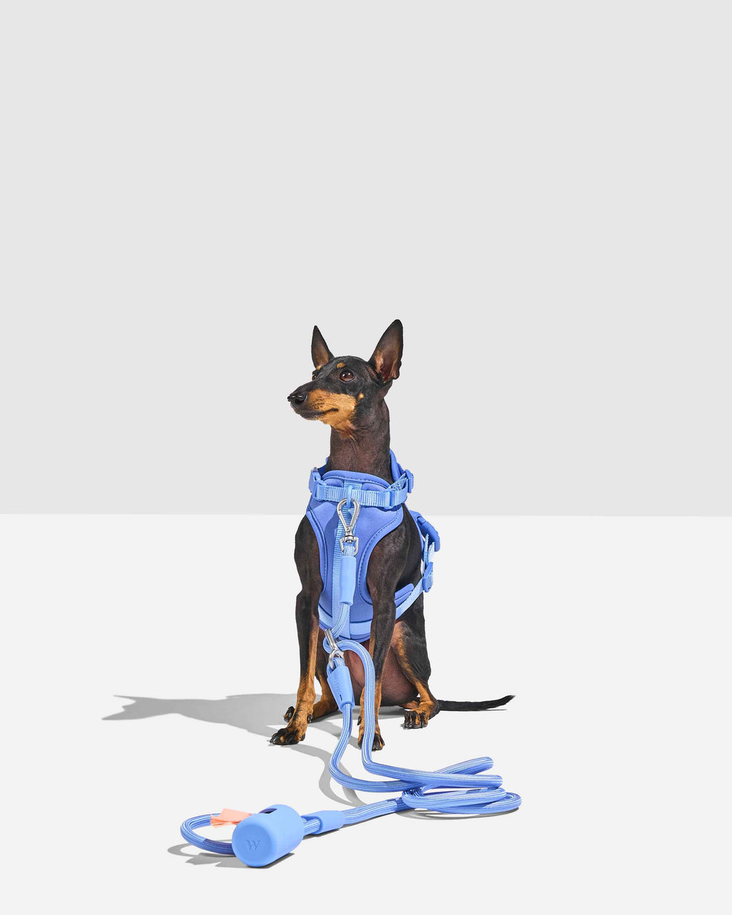 Hands-Free Rope Leash