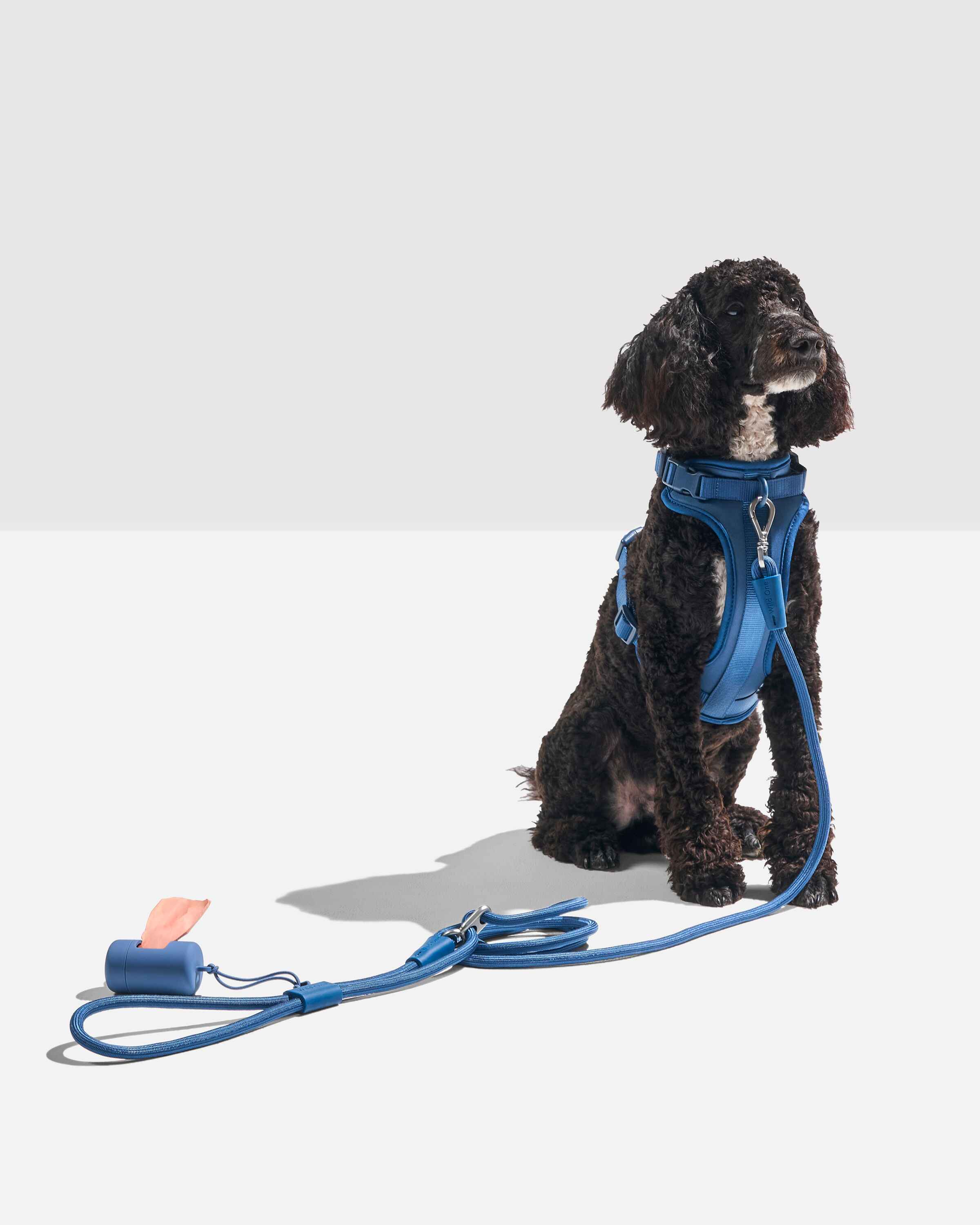 Hands-Free Rope Leash