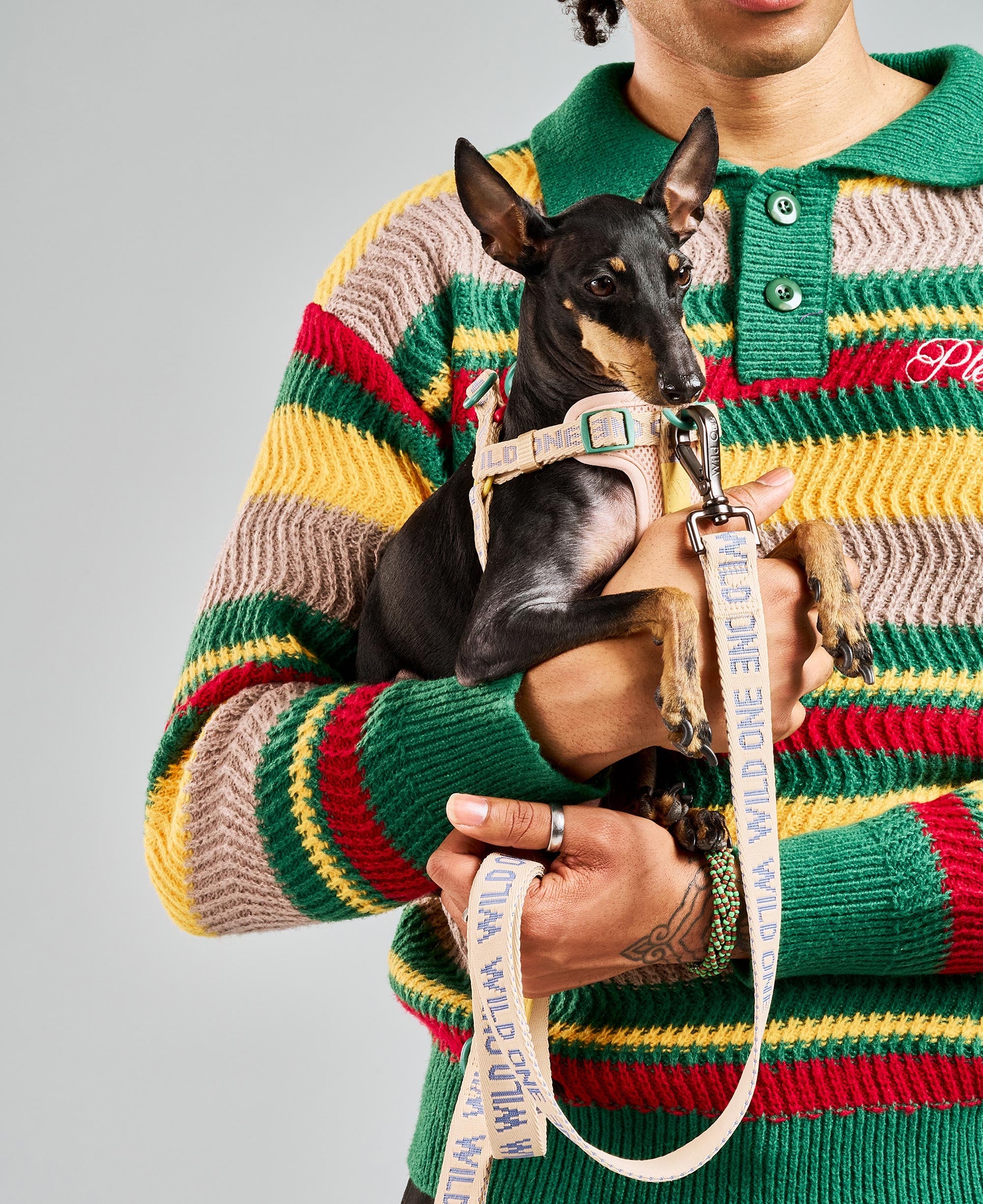 Lightweight Nylon Leash