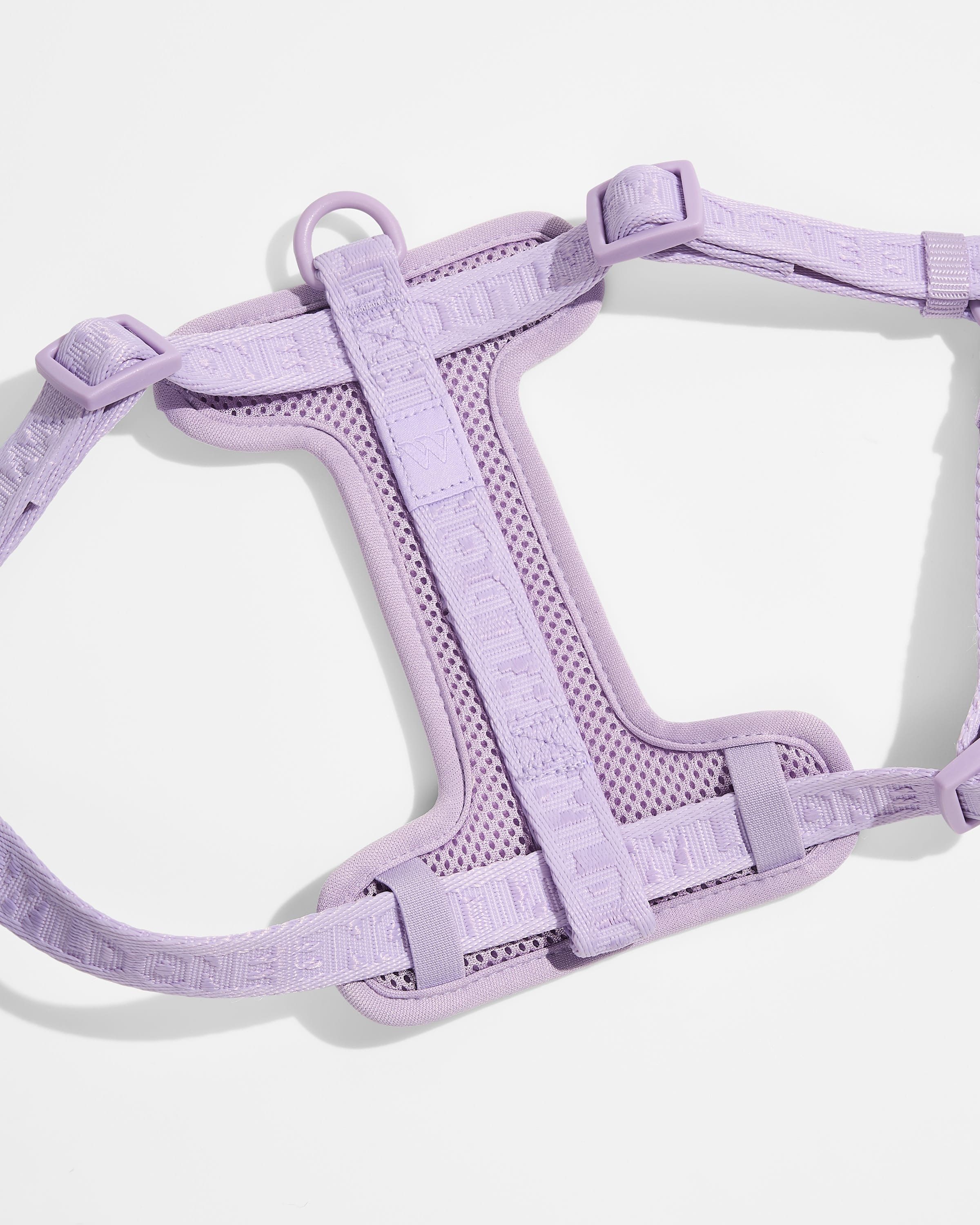 Step-In Harness