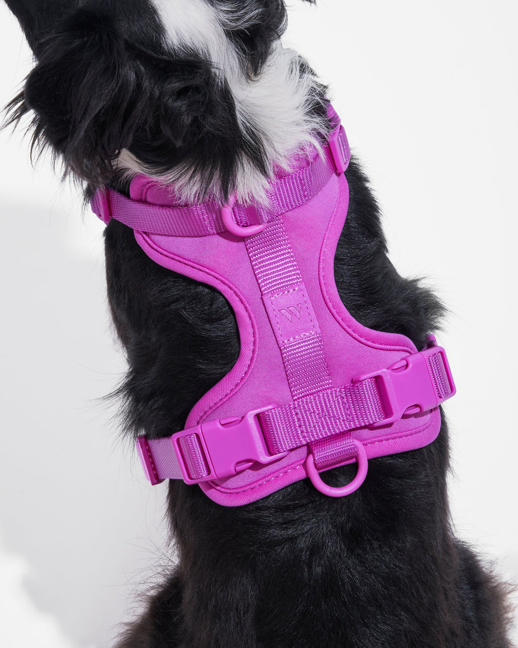 Cushioned Harness