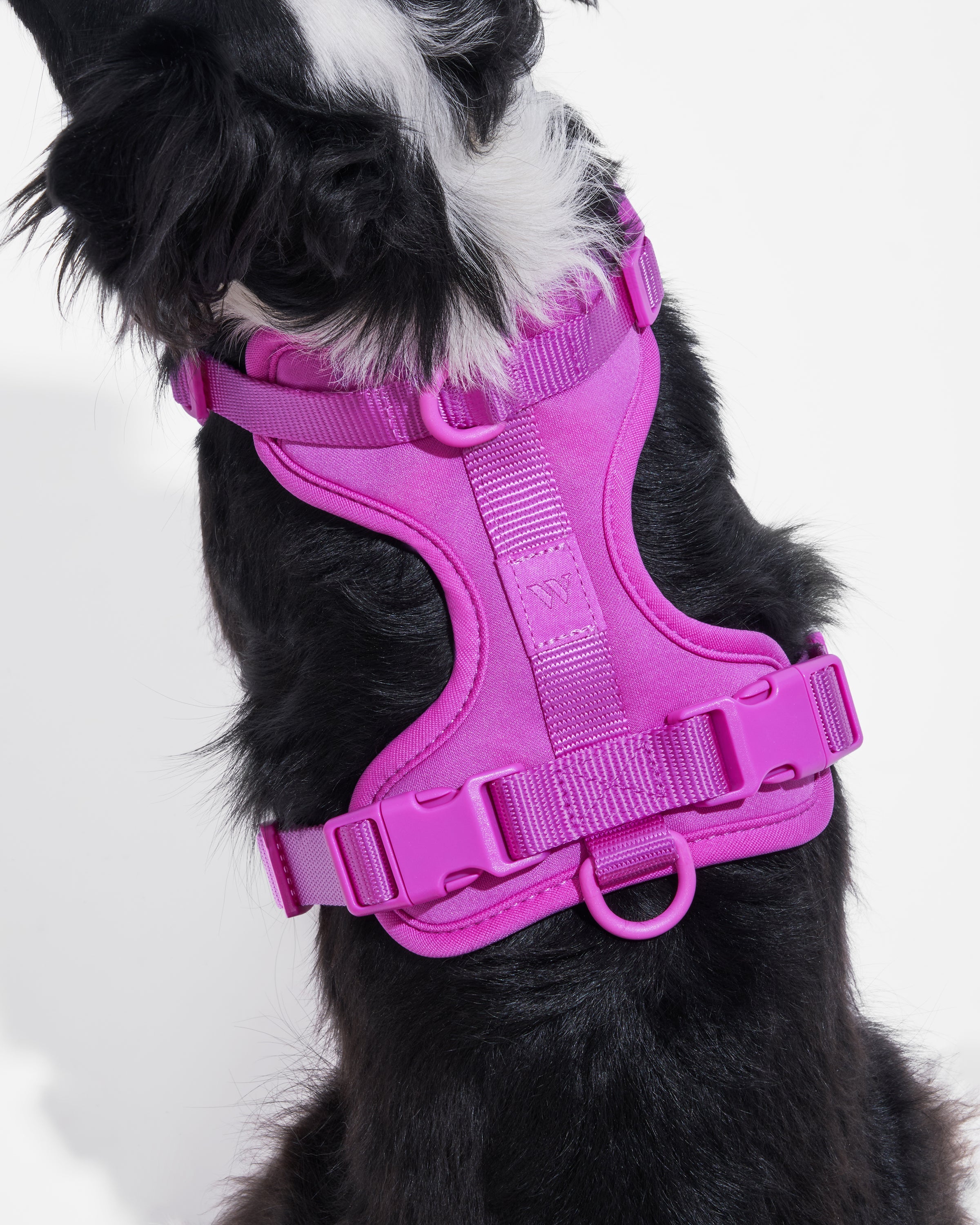 Cushioned Harness