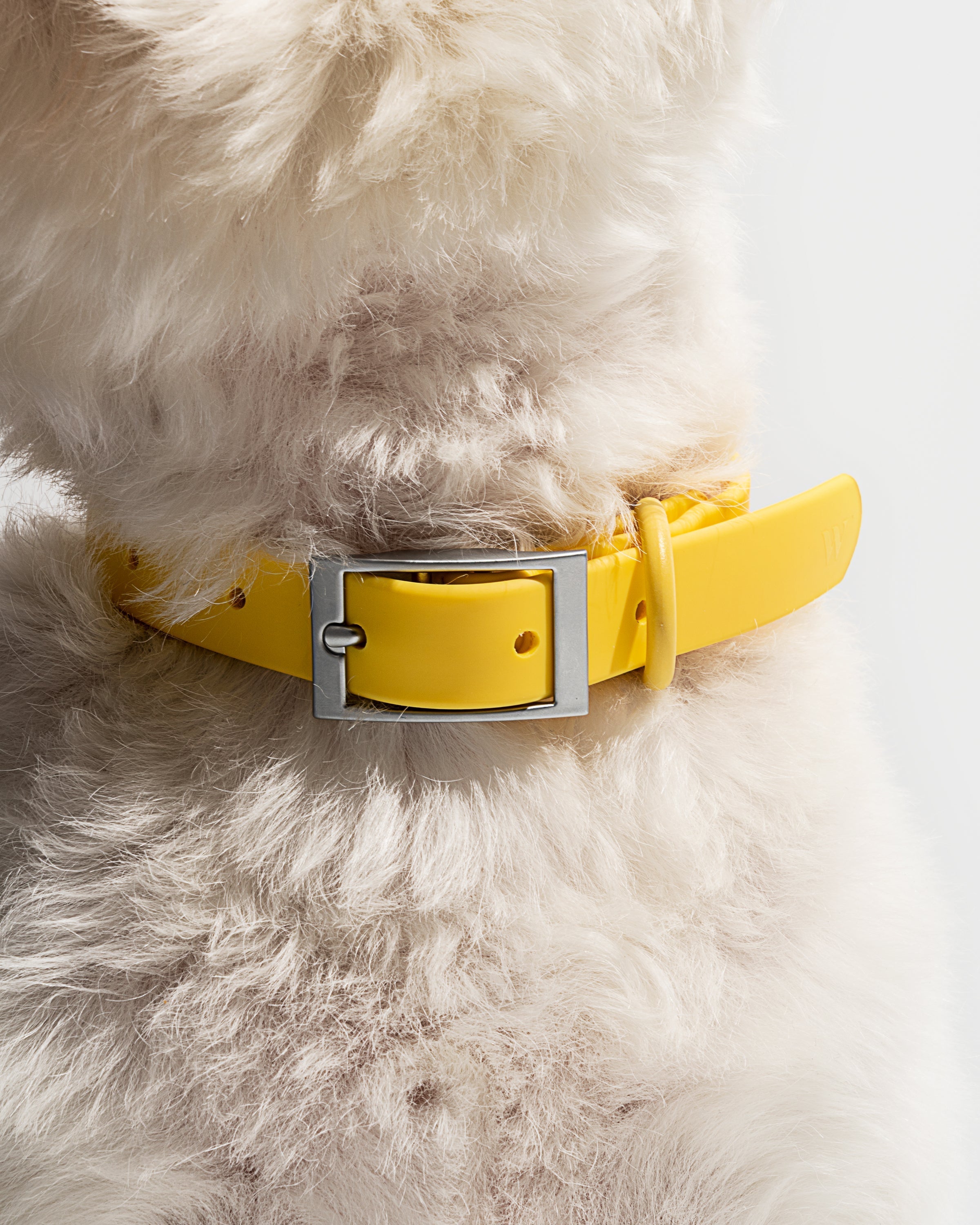 Waterproof Collar