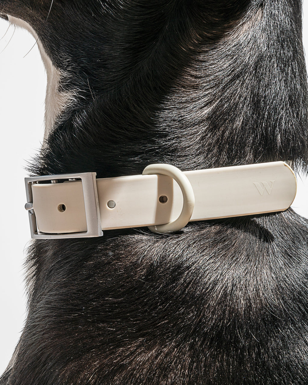 Waterproof Collar