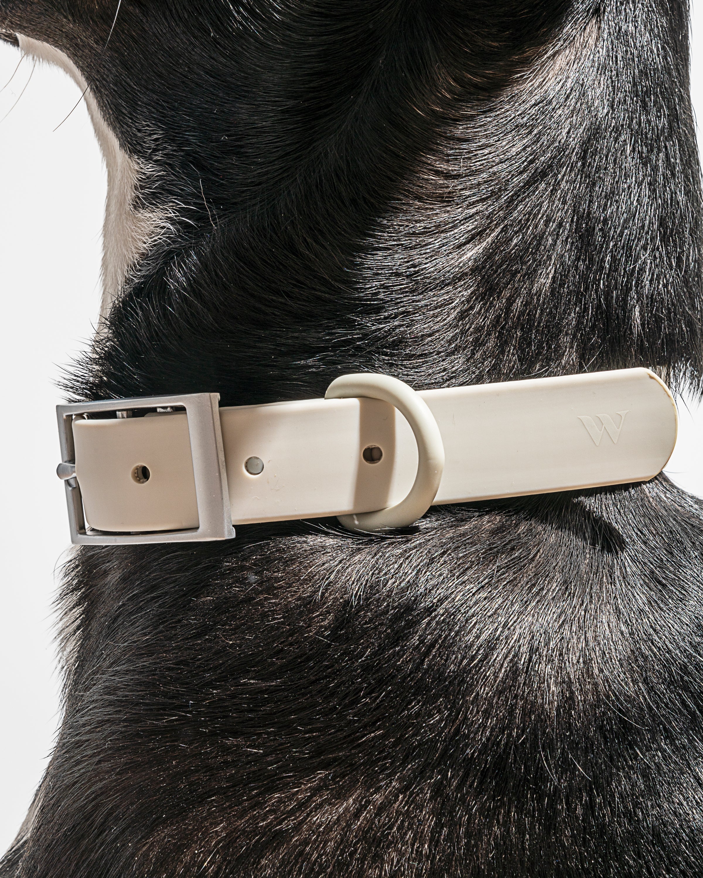 Waterproof Collar