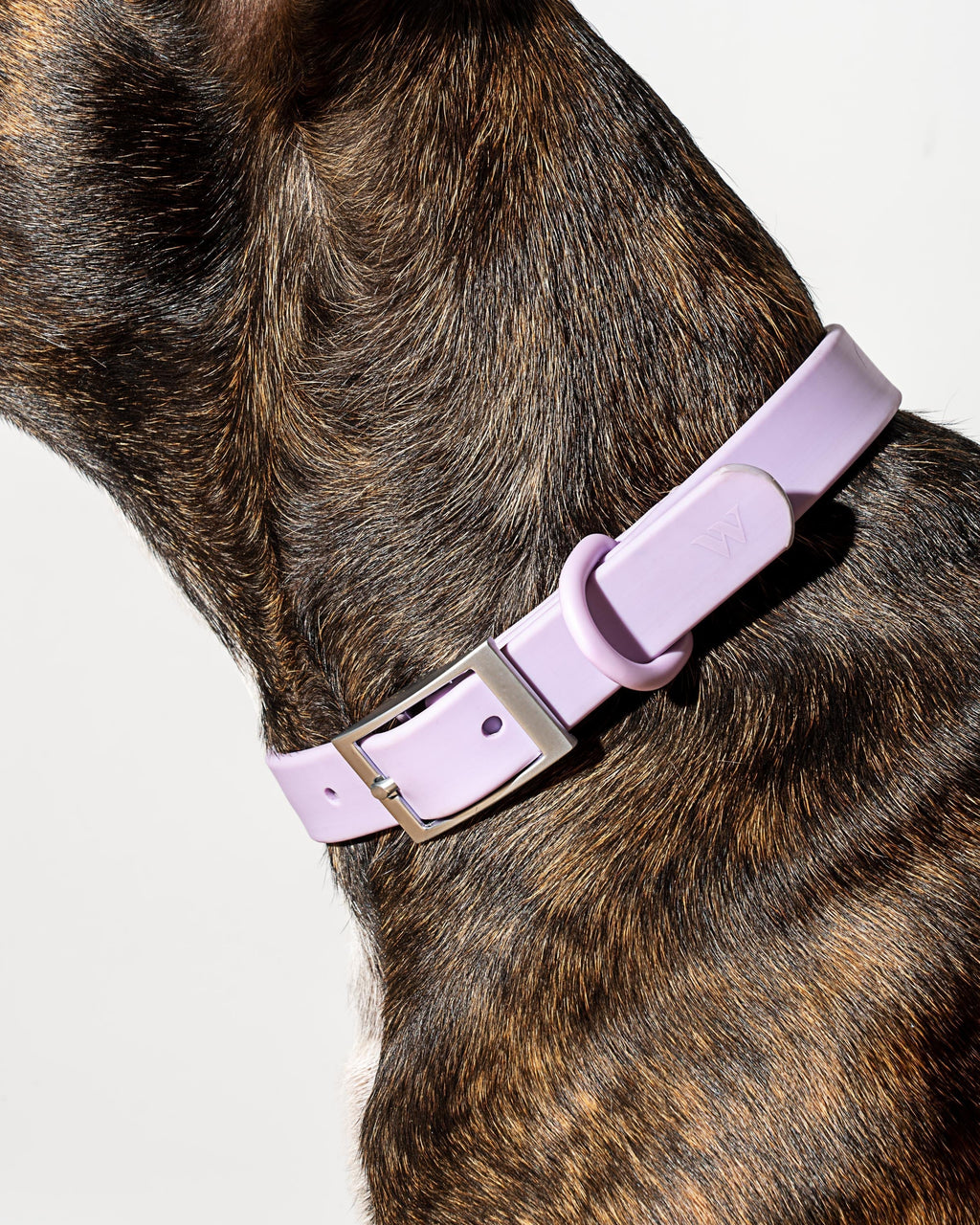 Waterproof Collar