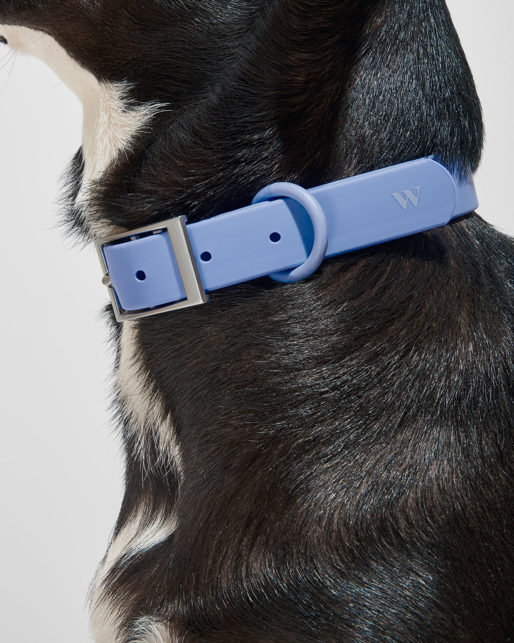 Waterproof Collar
