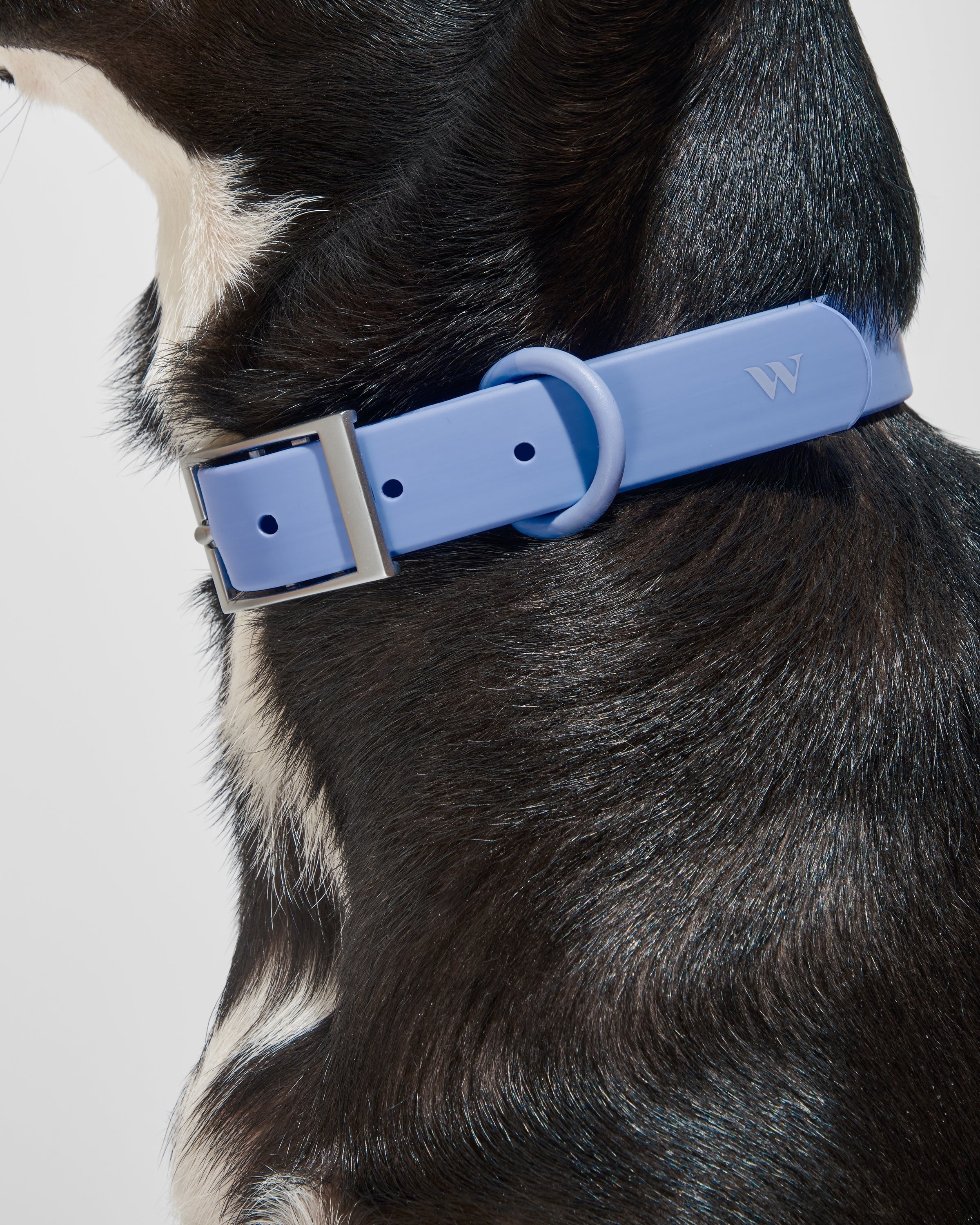 Waterproof Collar