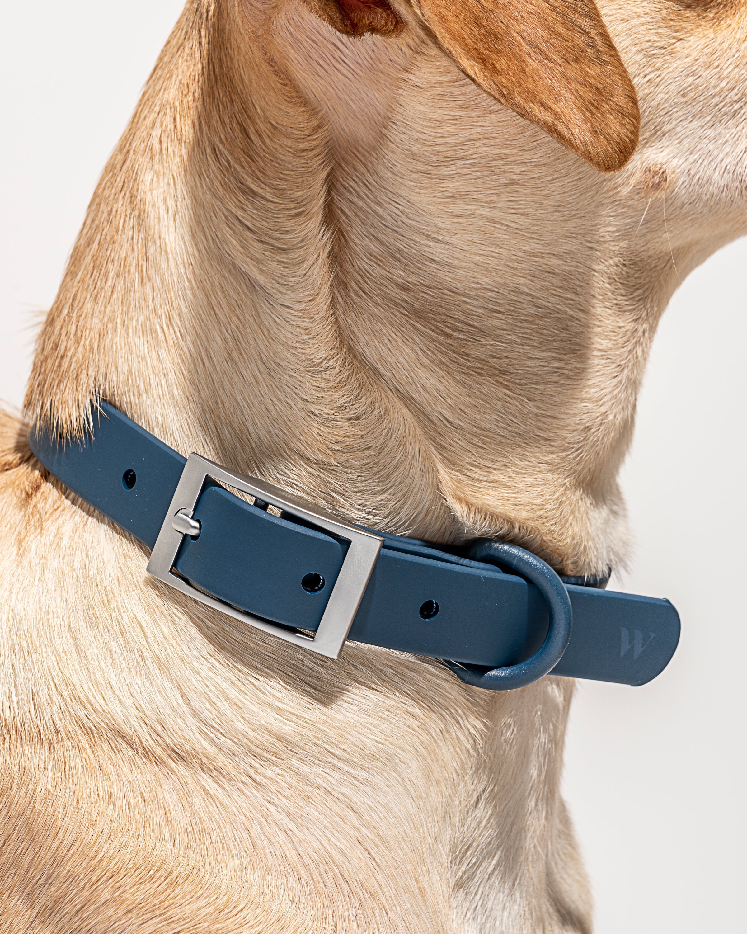 Waterproof Collar