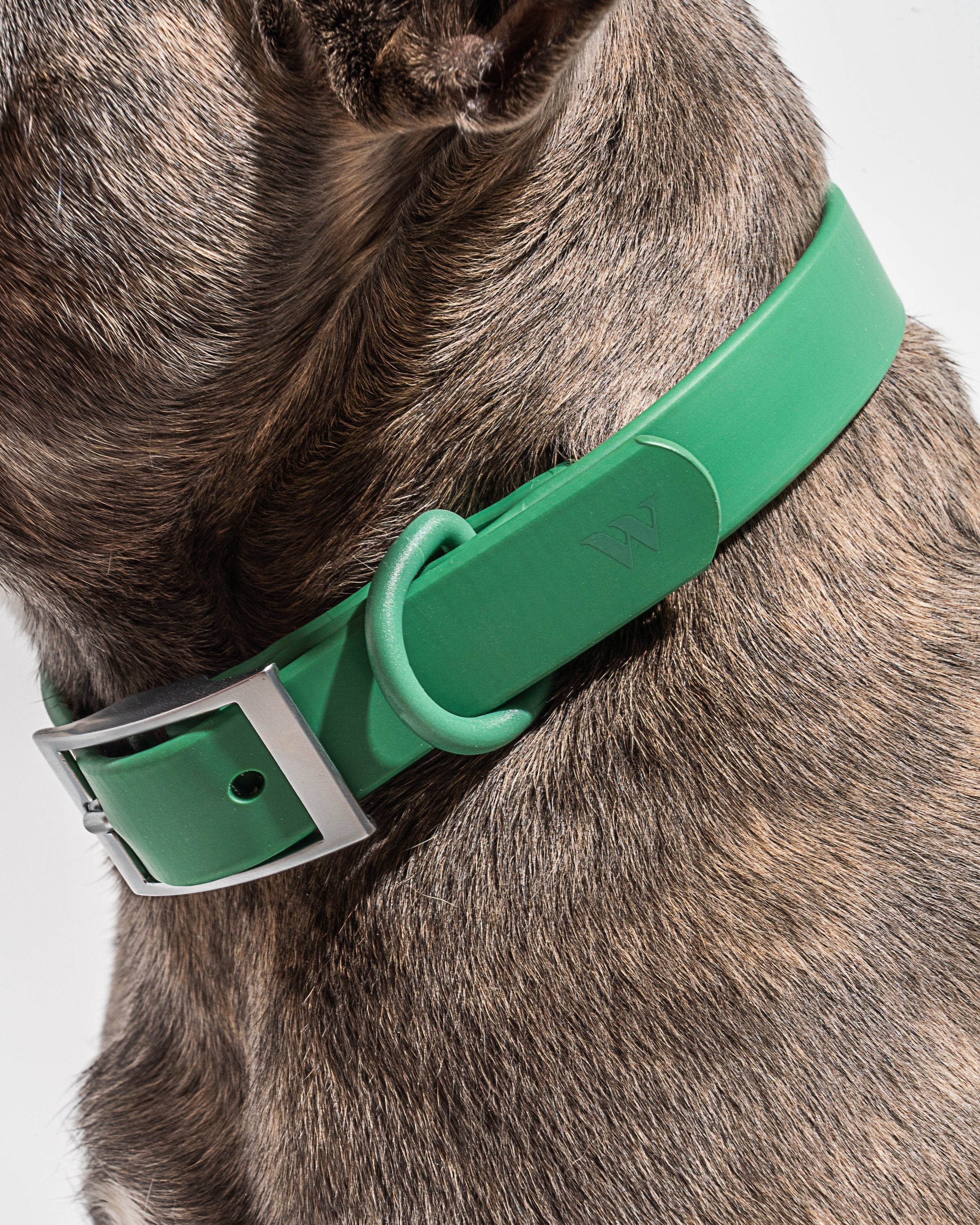 Waterproof Collar
