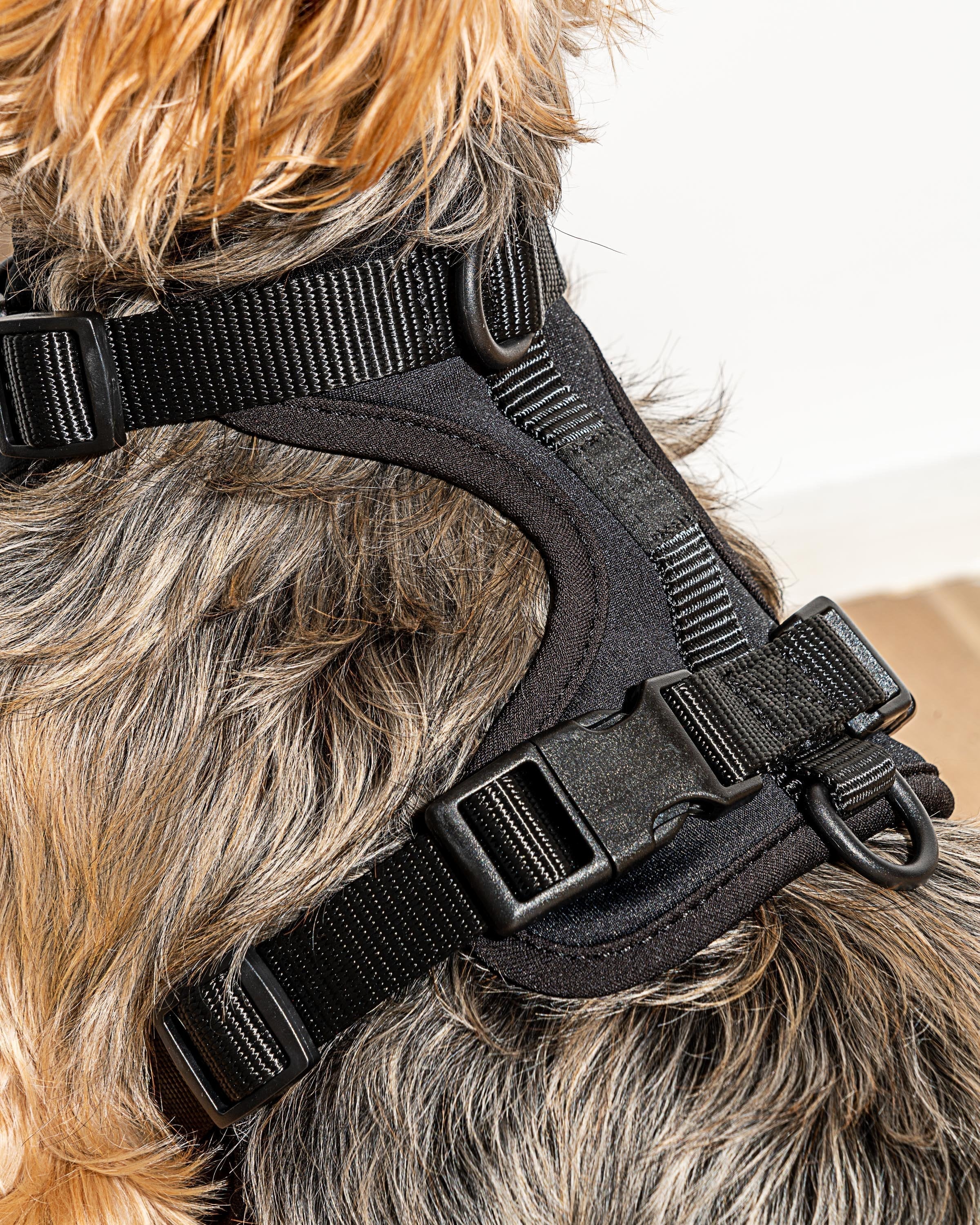 Cushioned Harness