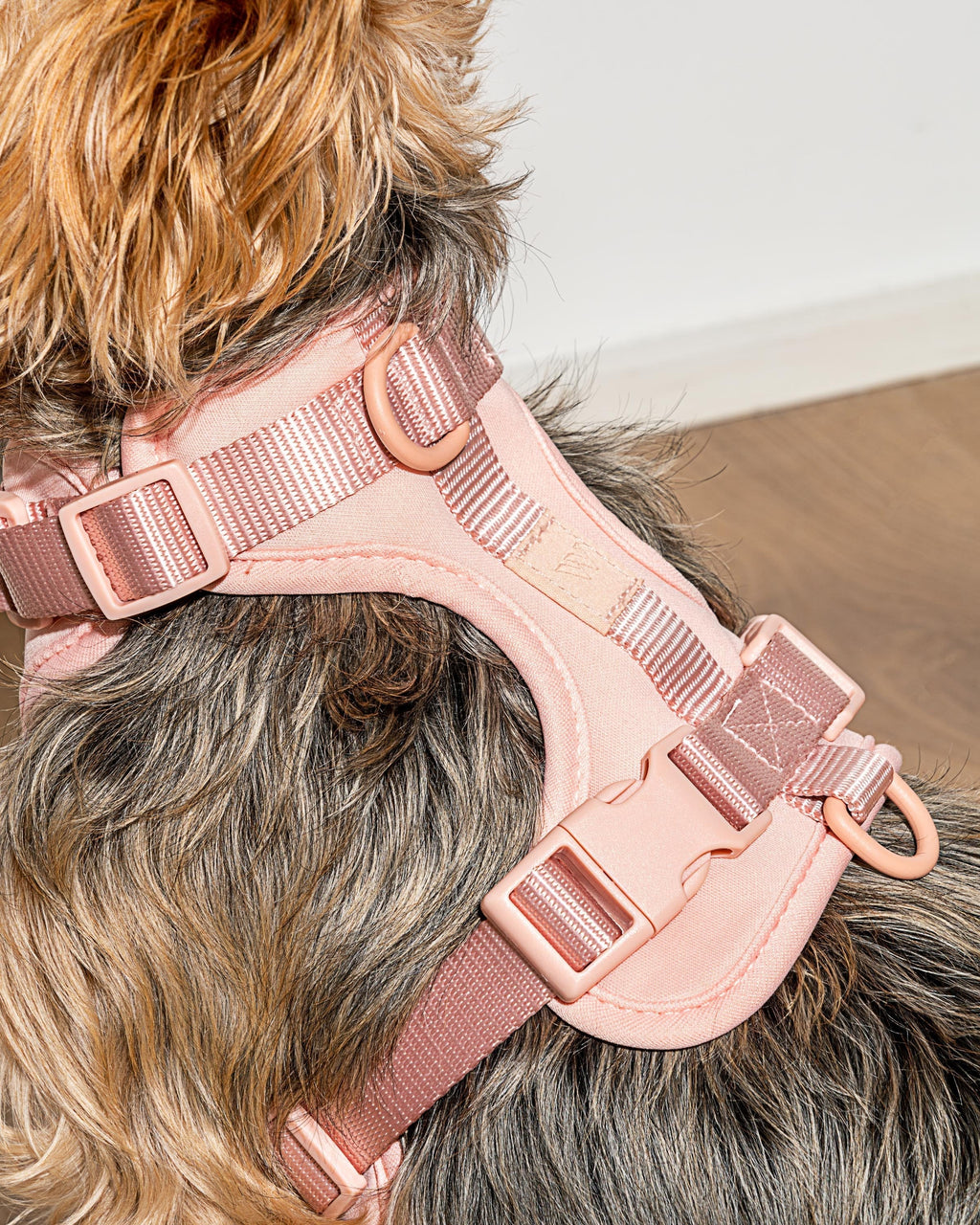 Cushioned Harness