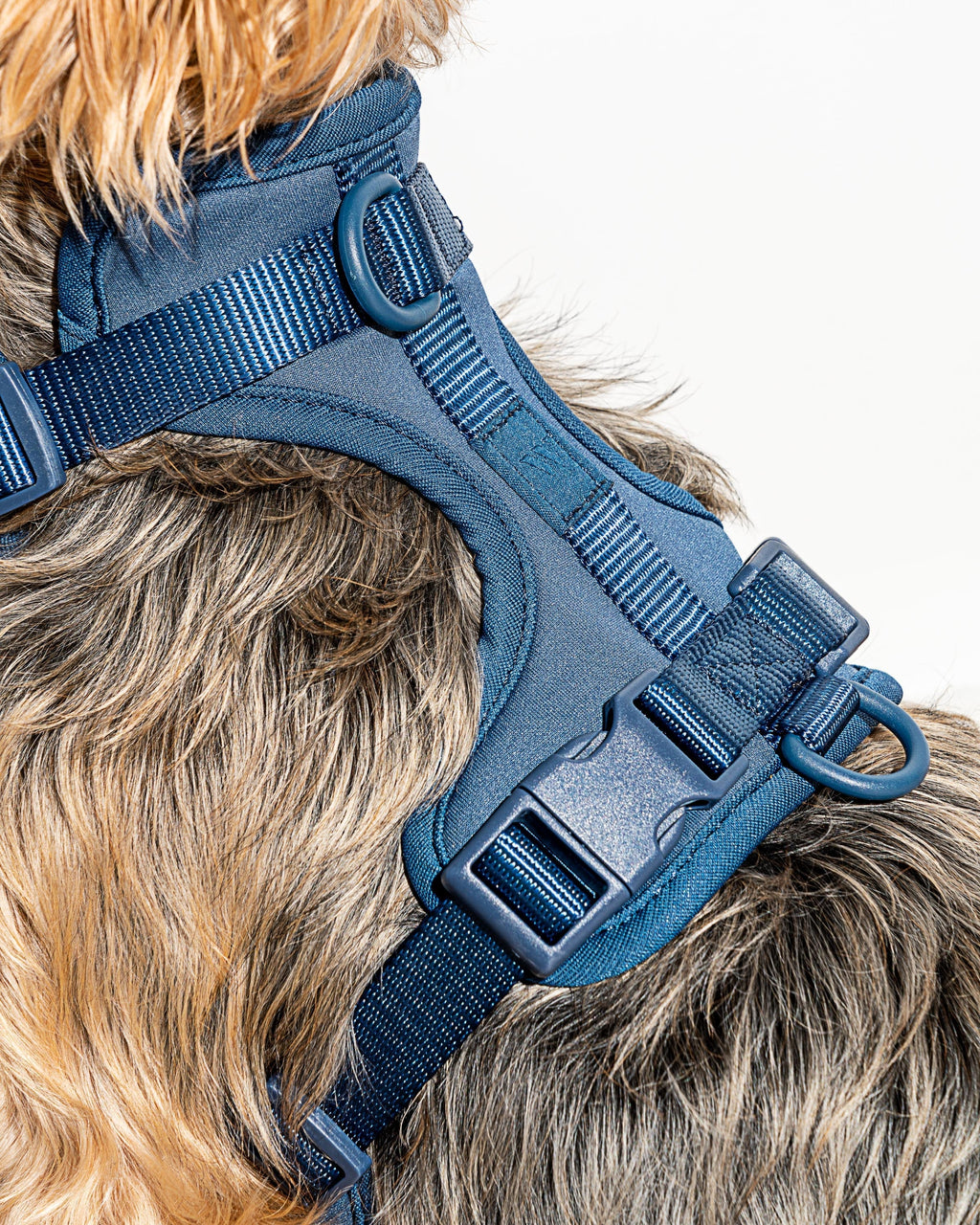 Cushioned Harness