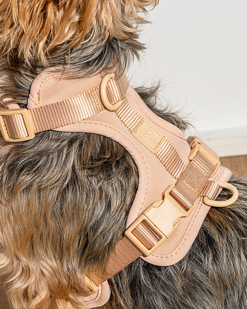 Cushioned Harness