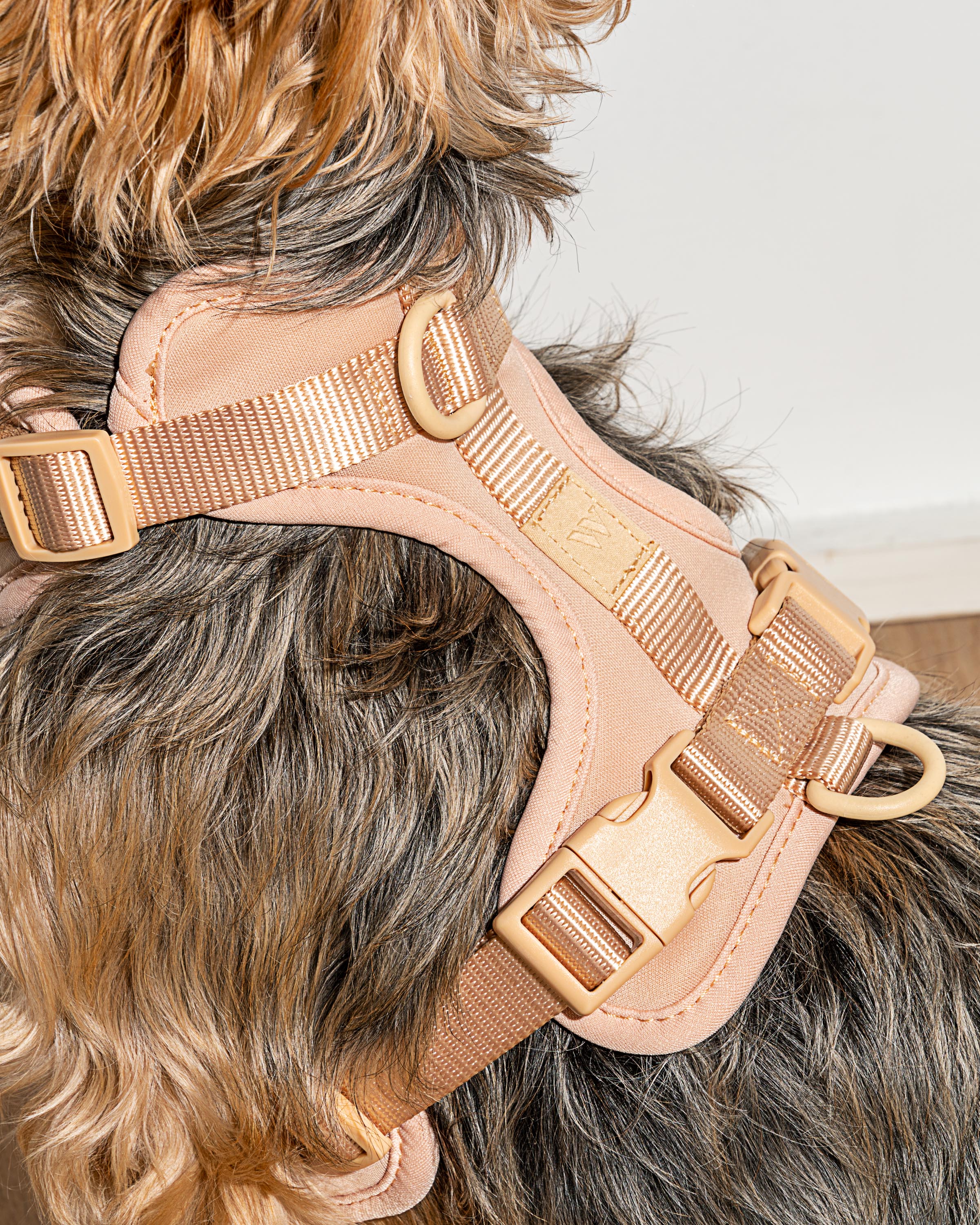 Cushioned Harness