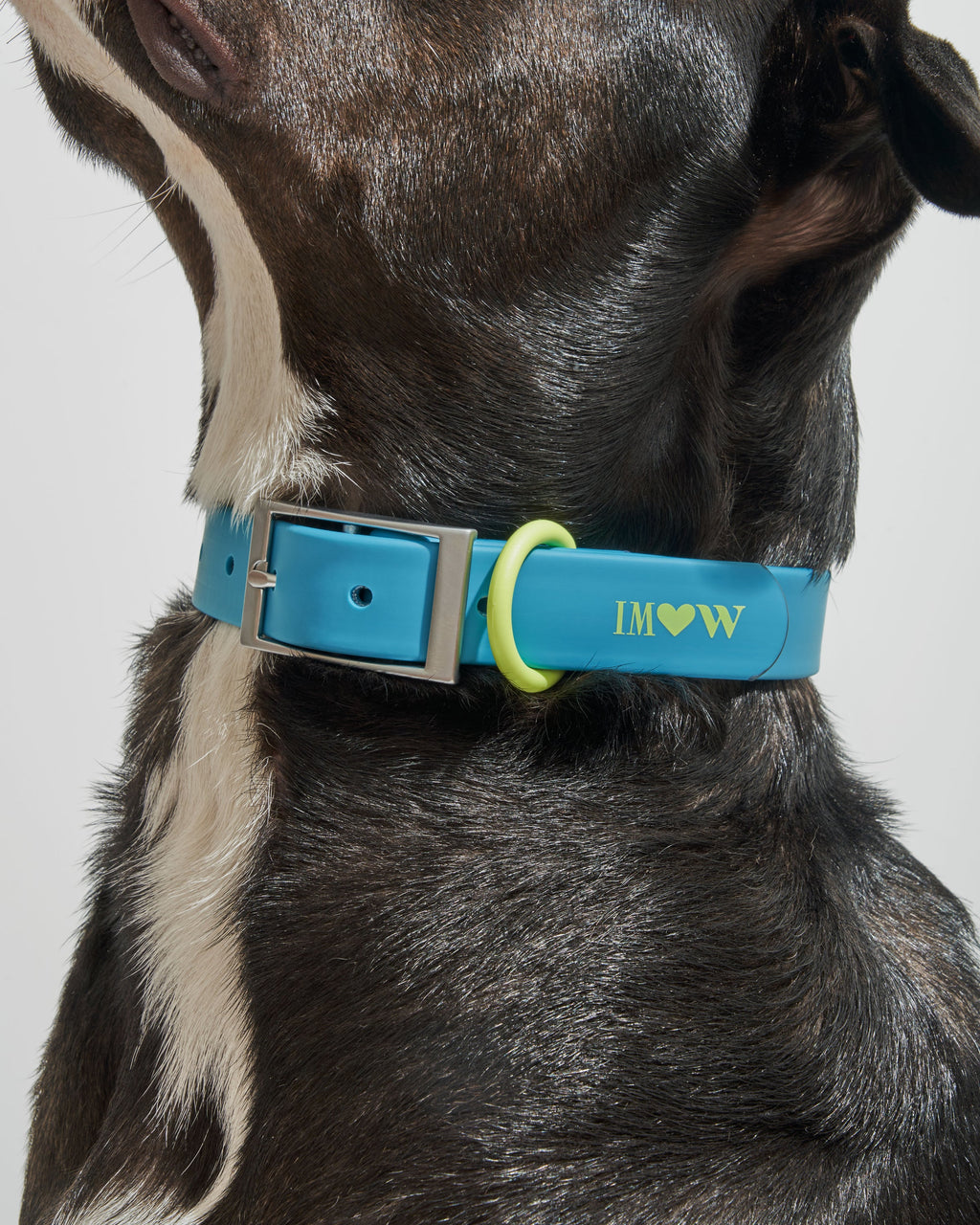 Waterproof Collar