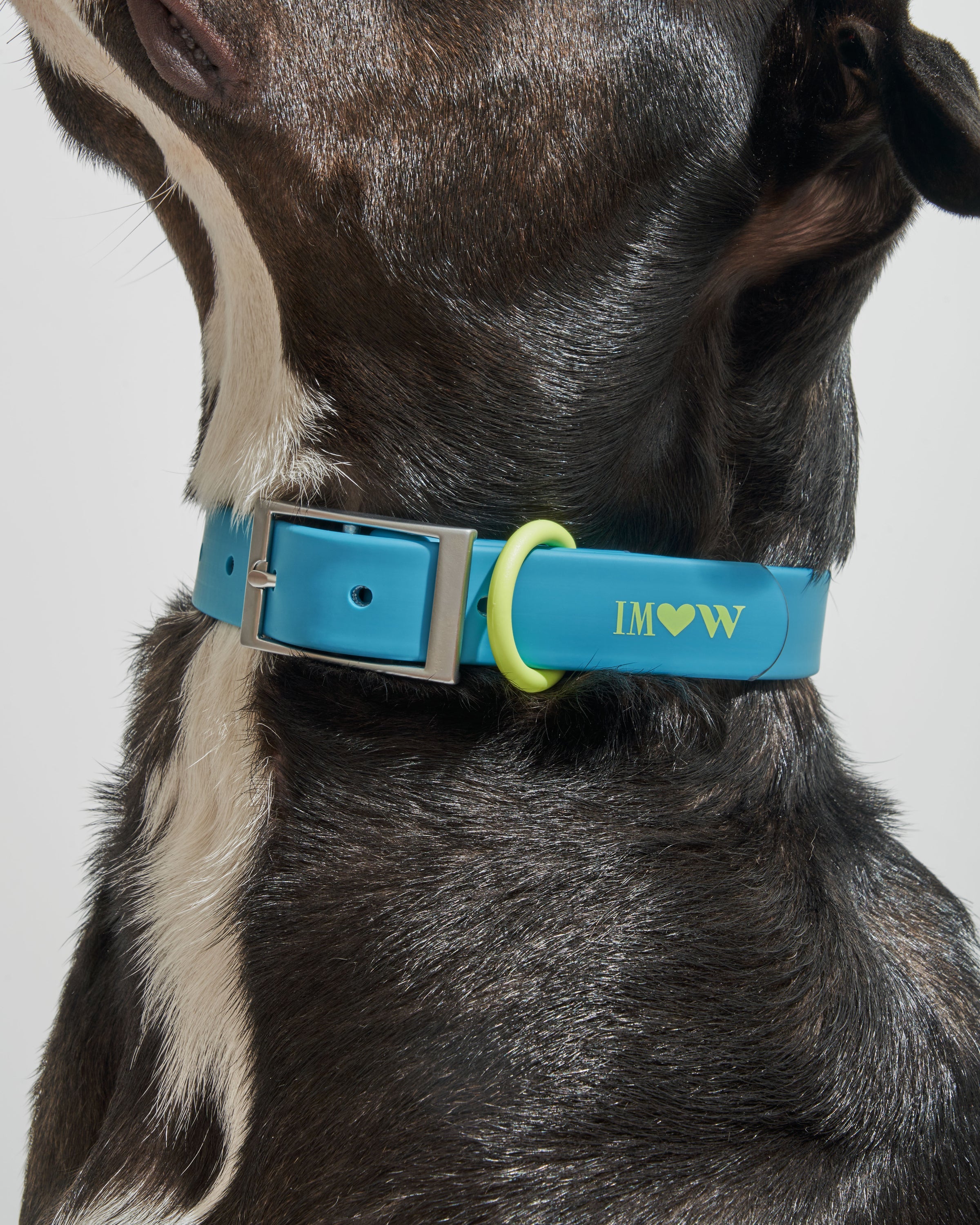 Waterproof Collar
