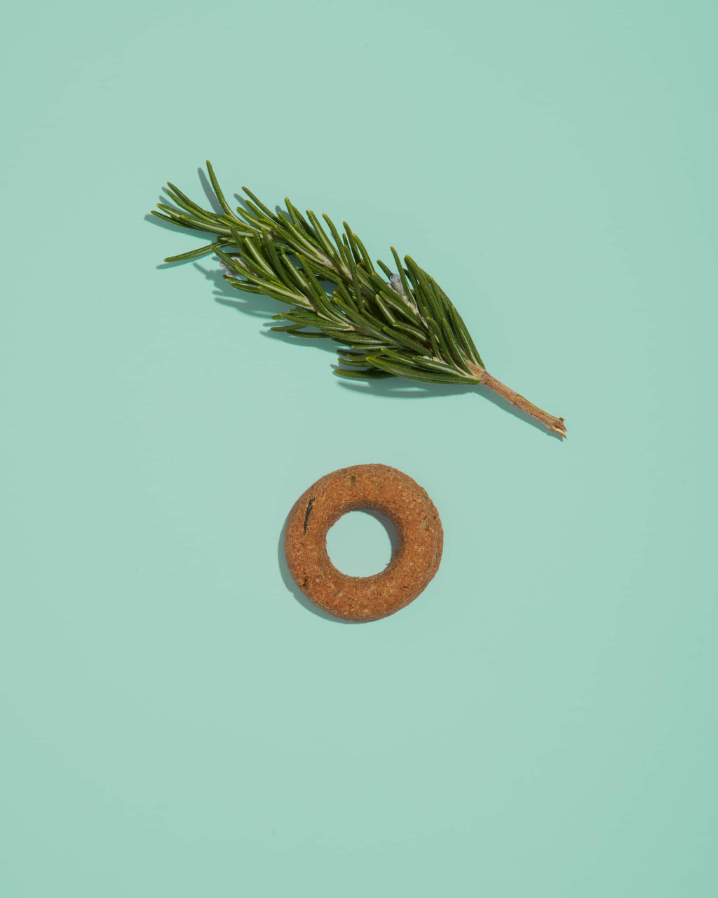 Organic Baked Treats