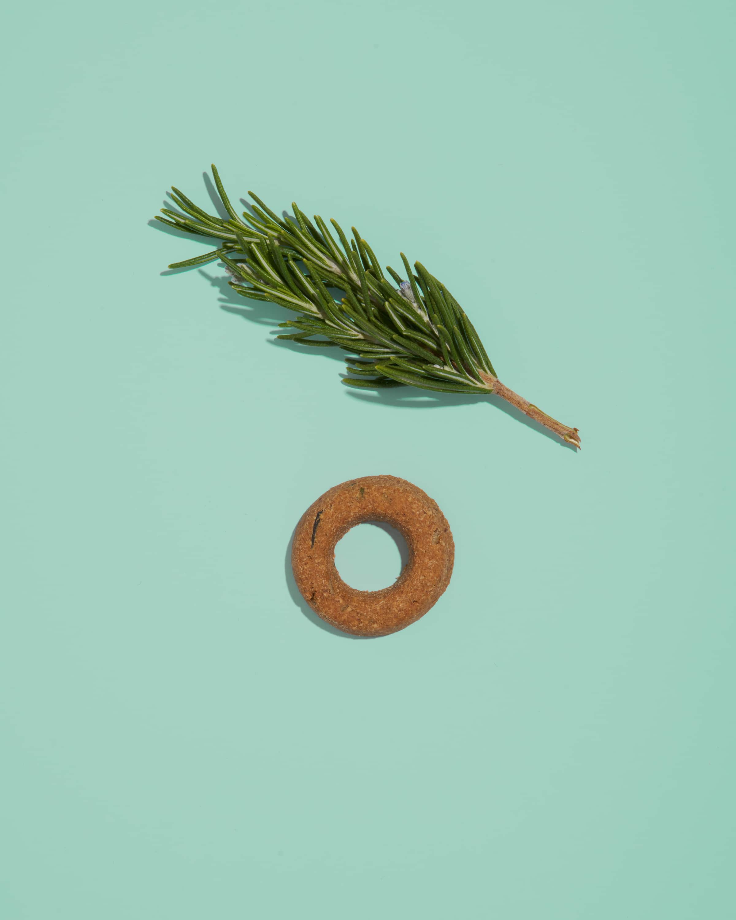 Organic Baked Treats